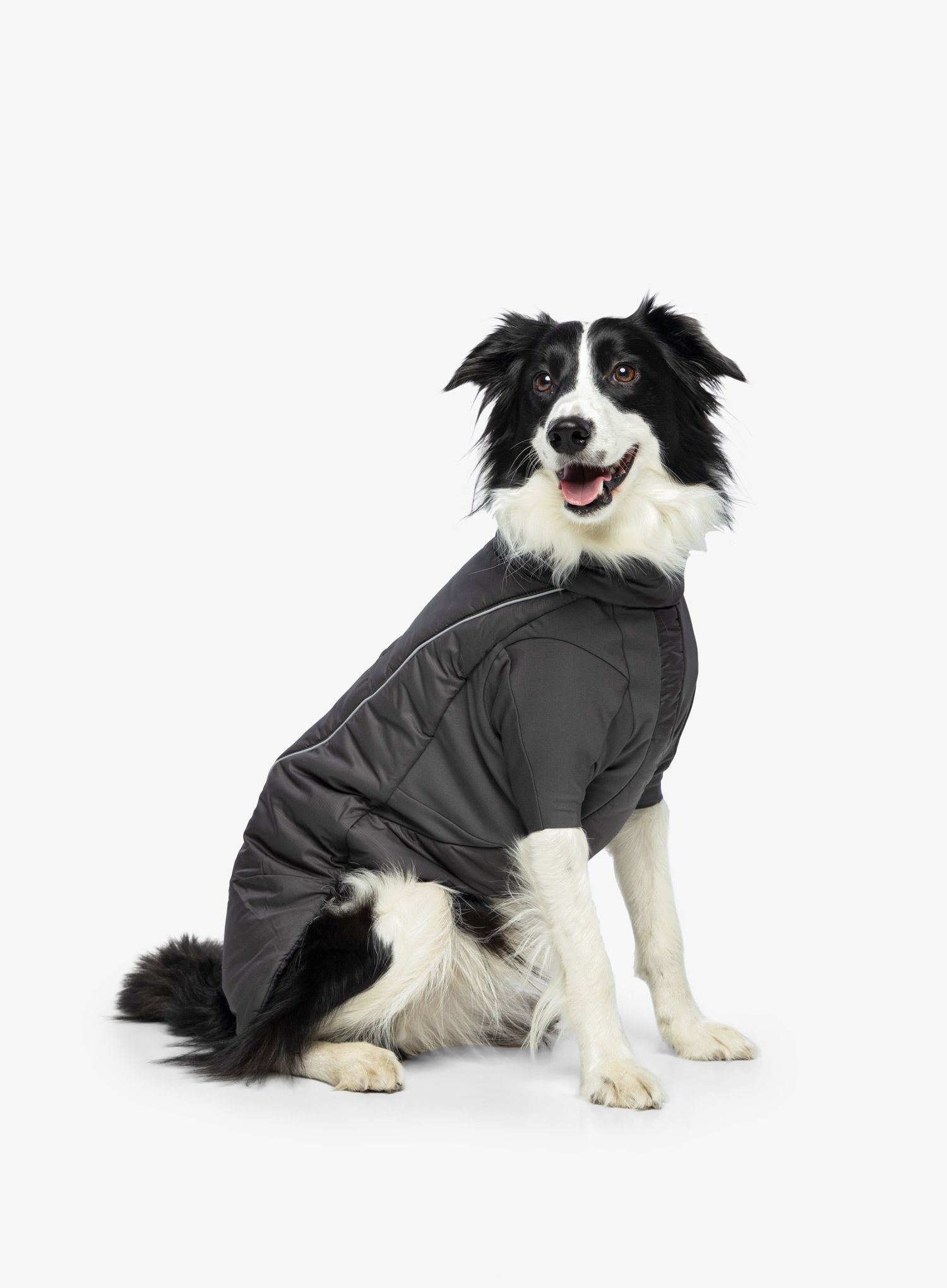 Plašč za psa Ruffwear Furness Jacket - twilight grey