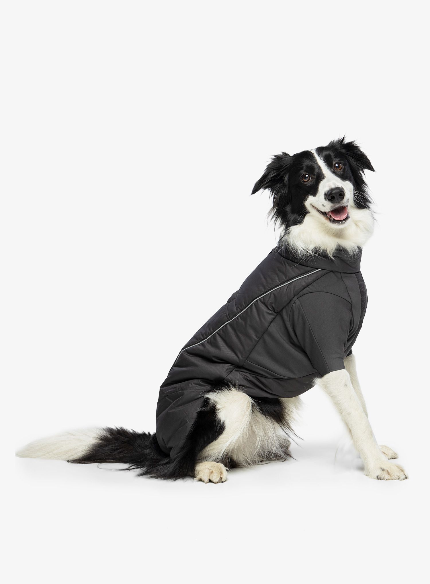 Plašč za psa Ruffwear Furness Jacket - twilight grey