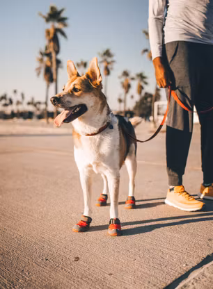 Obutev za psa Ruffwear Grip Trex - red sumac