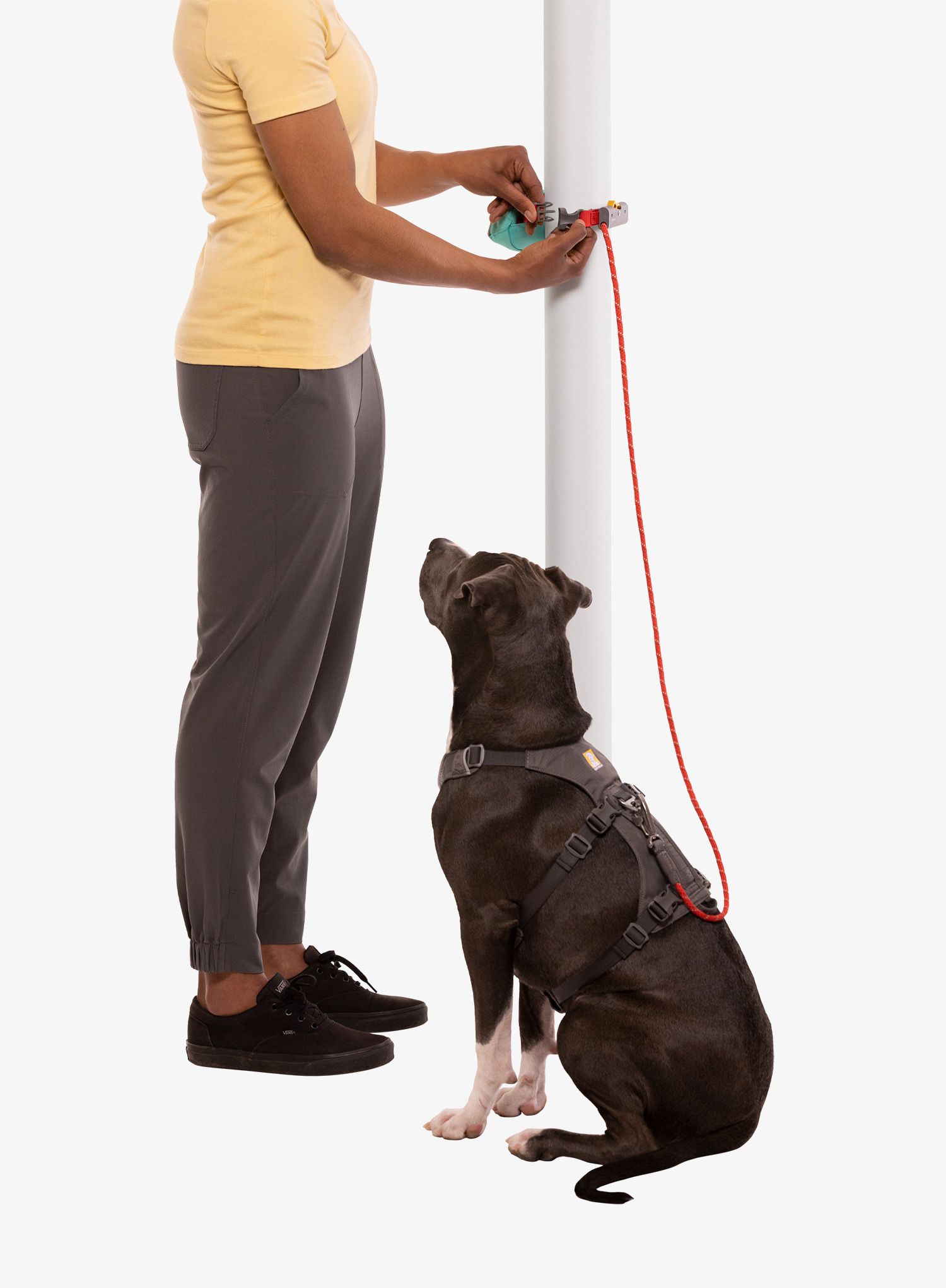 Pasji povodec Ruffwear Hitch Hiker Leash - aurora teal