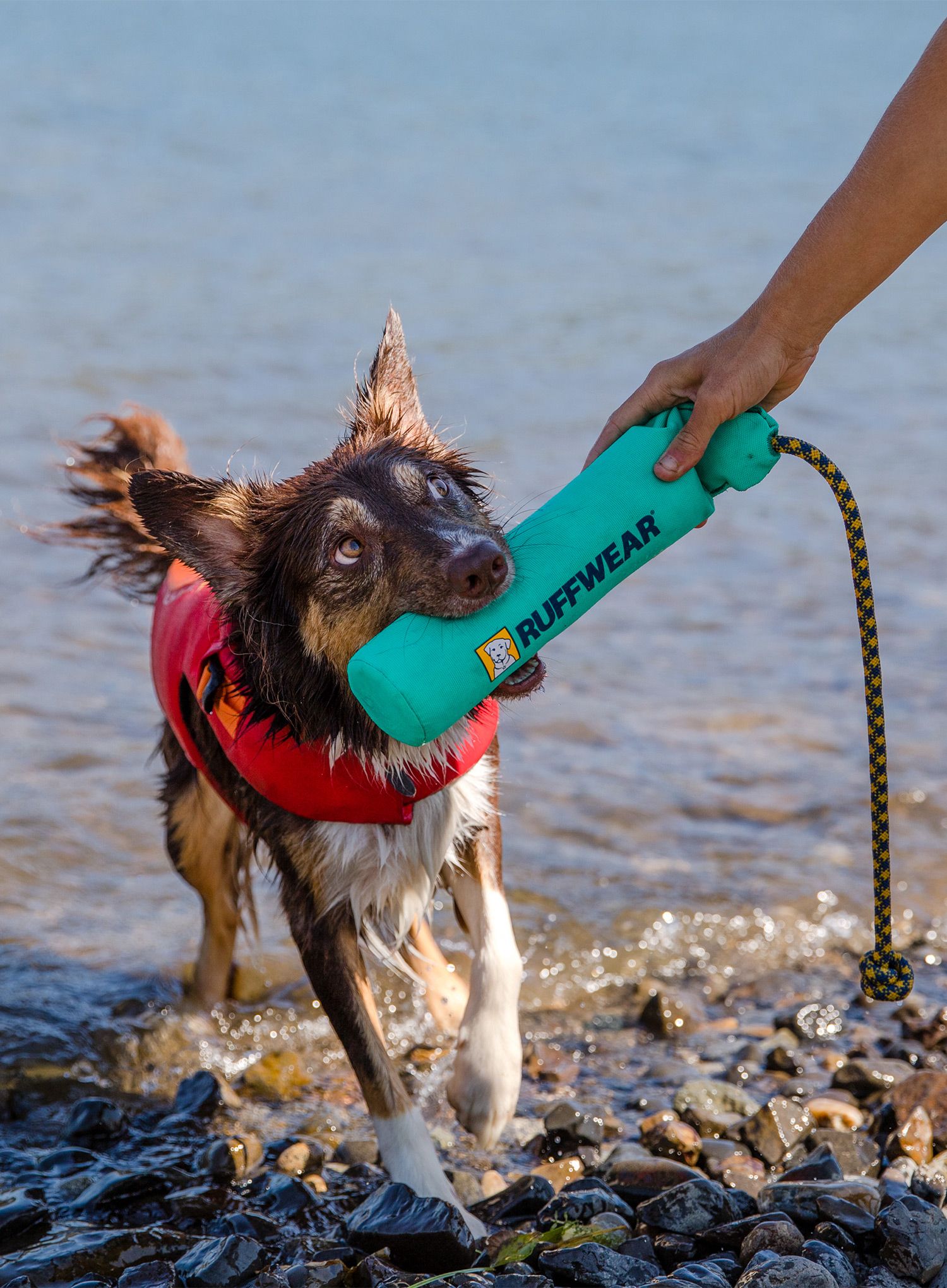 Igrača za psa Ruffwear Lunker - aurora teal