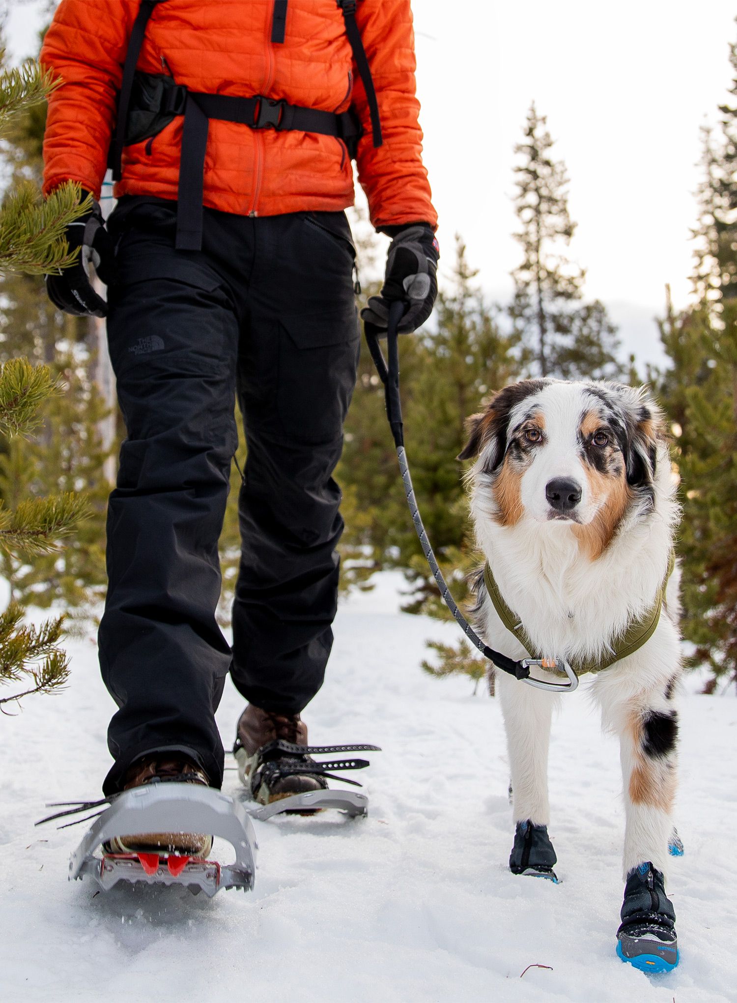 Obutev za psa Ruffwear Polar Trex - obsidian black