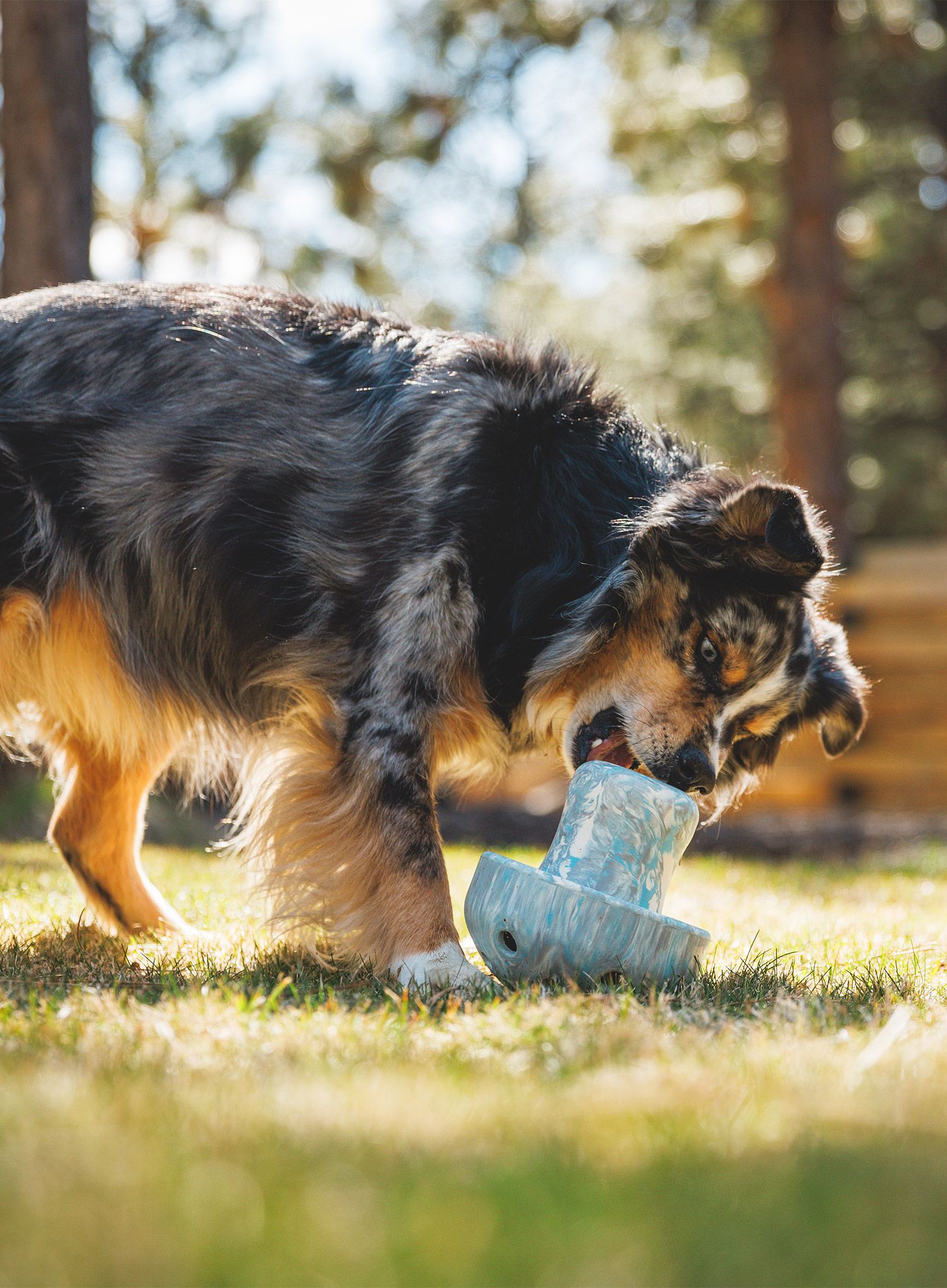 Igrača za psa Ruffwear Porcini Dog Toy - blue prism