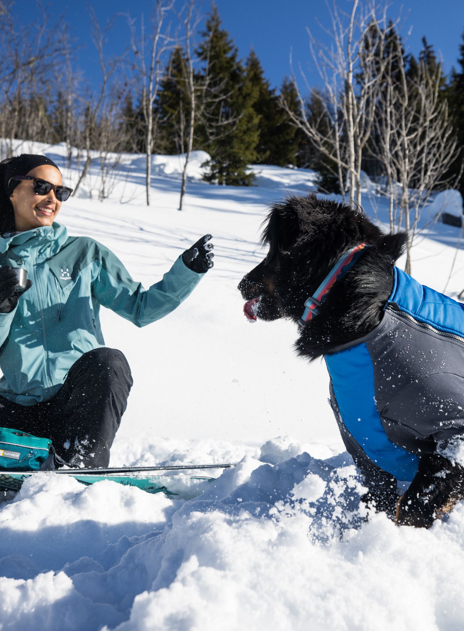 Plašč za psa Ruffwear Powder Hound Jacket - pool blue