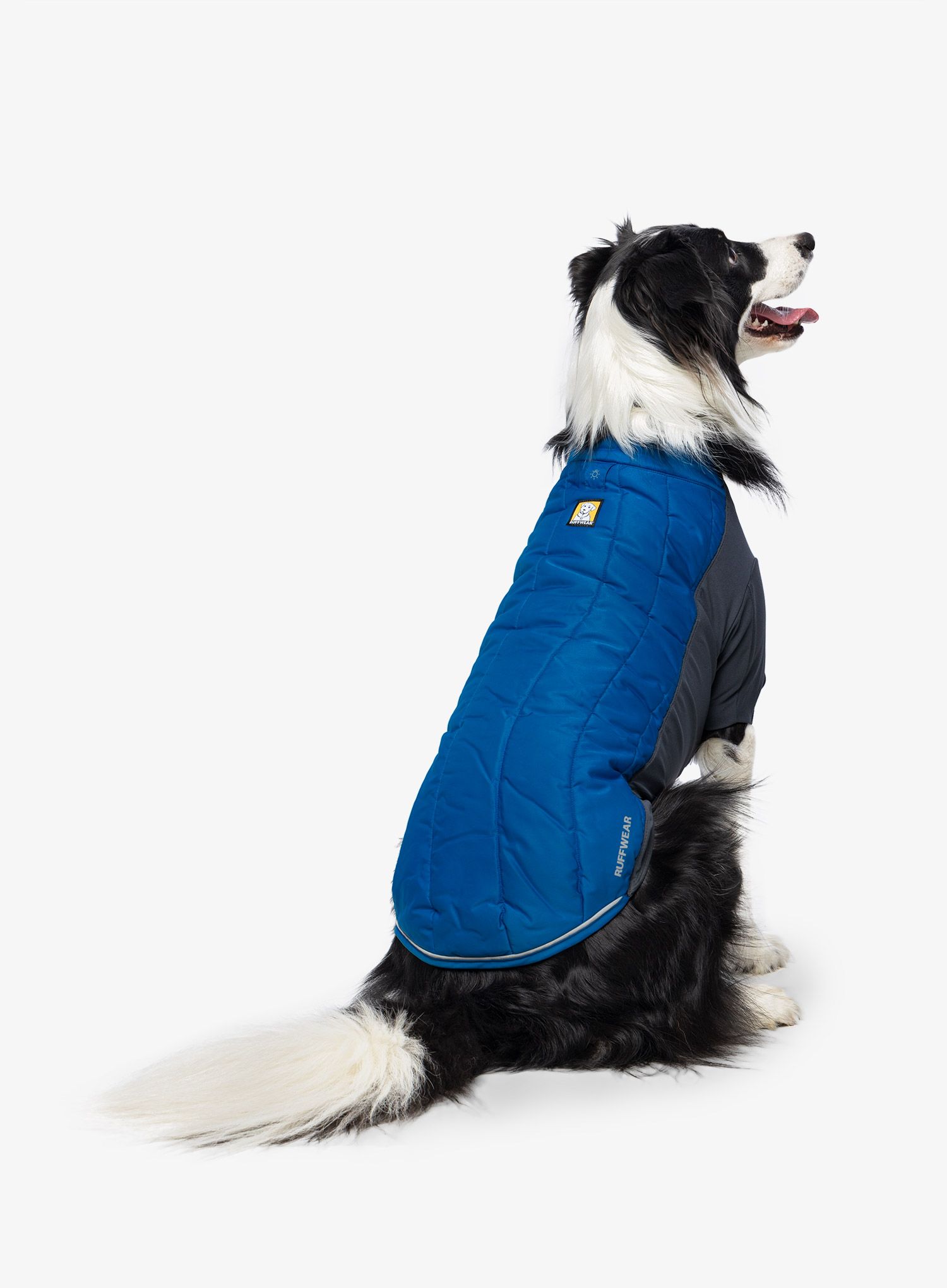 Plašč za psa Ruffwear Powder Hound Jacket - pool blue