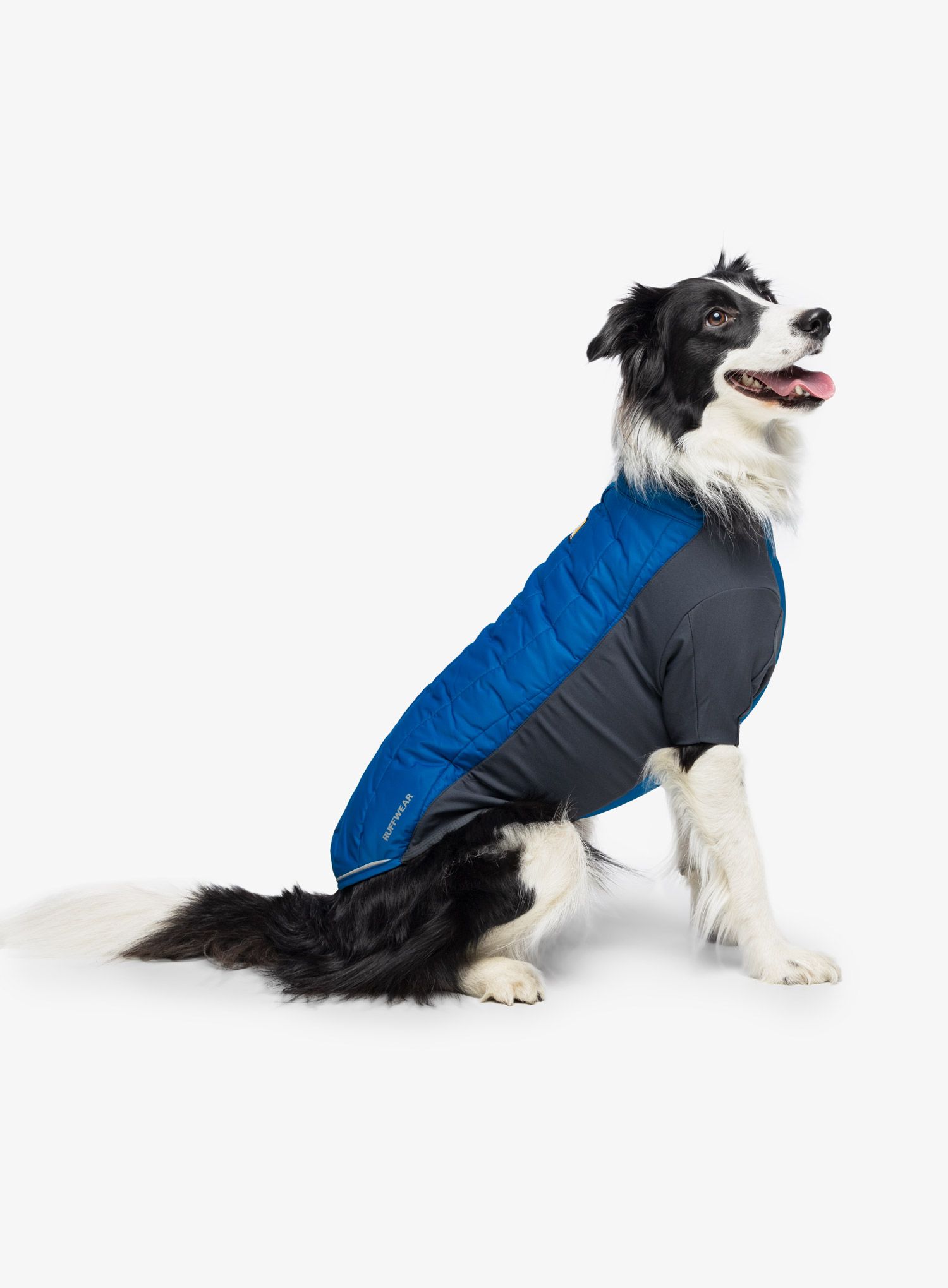 Plašč za psa Ruffwear Powder Hound Jacket - pool blue