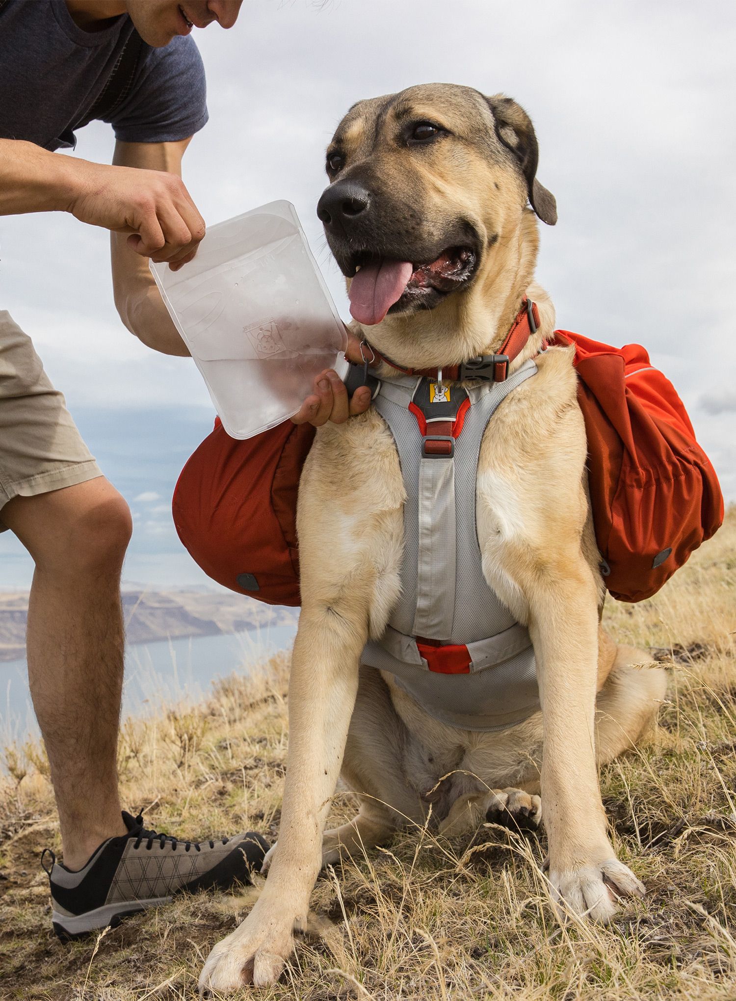 Hladilni vložek Ruffwear Swamp Cooler Core - graphite gray