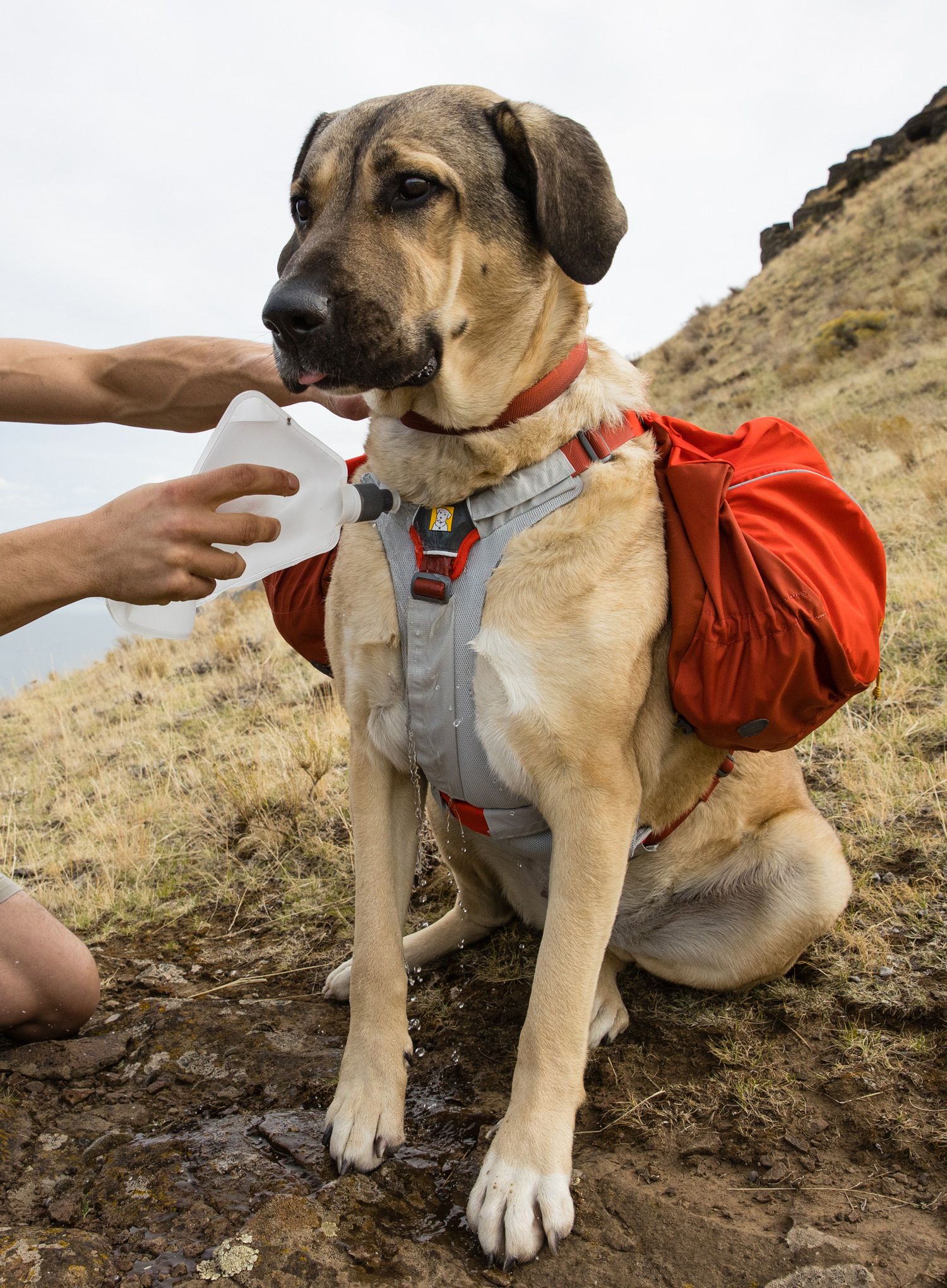 Hladilni vložek Ruffwear Swamp Cooler Core - graphite gray