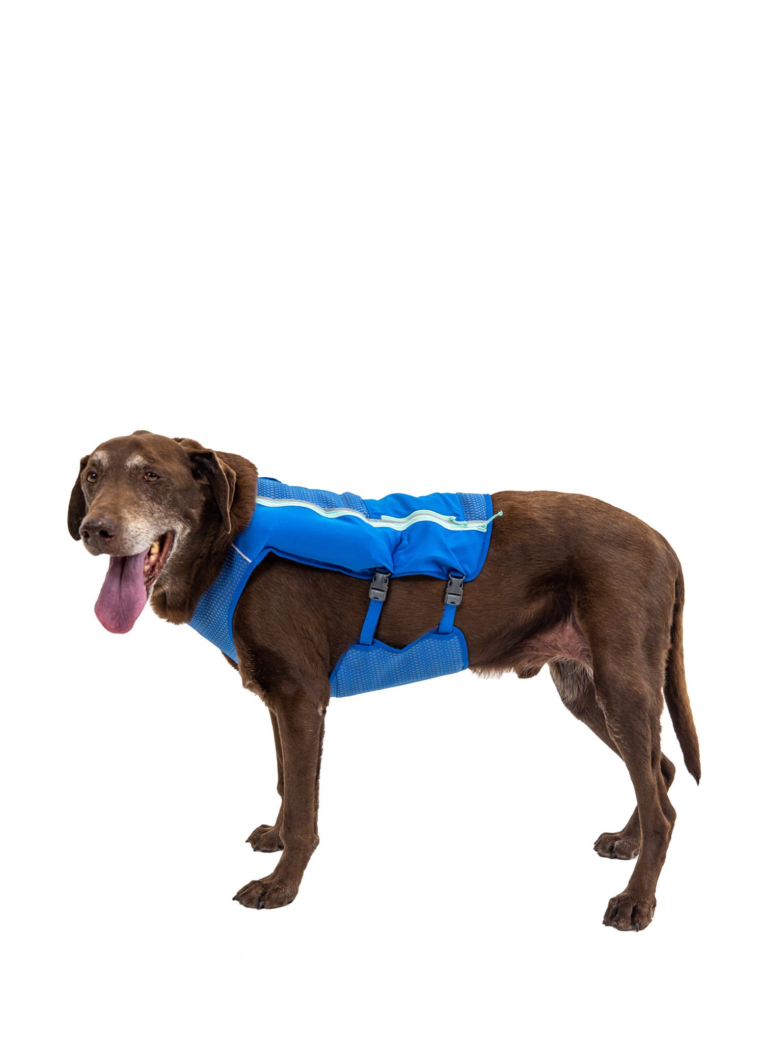 Jopič za pse Ruffwear Trail Runner Running Vest - blue pool