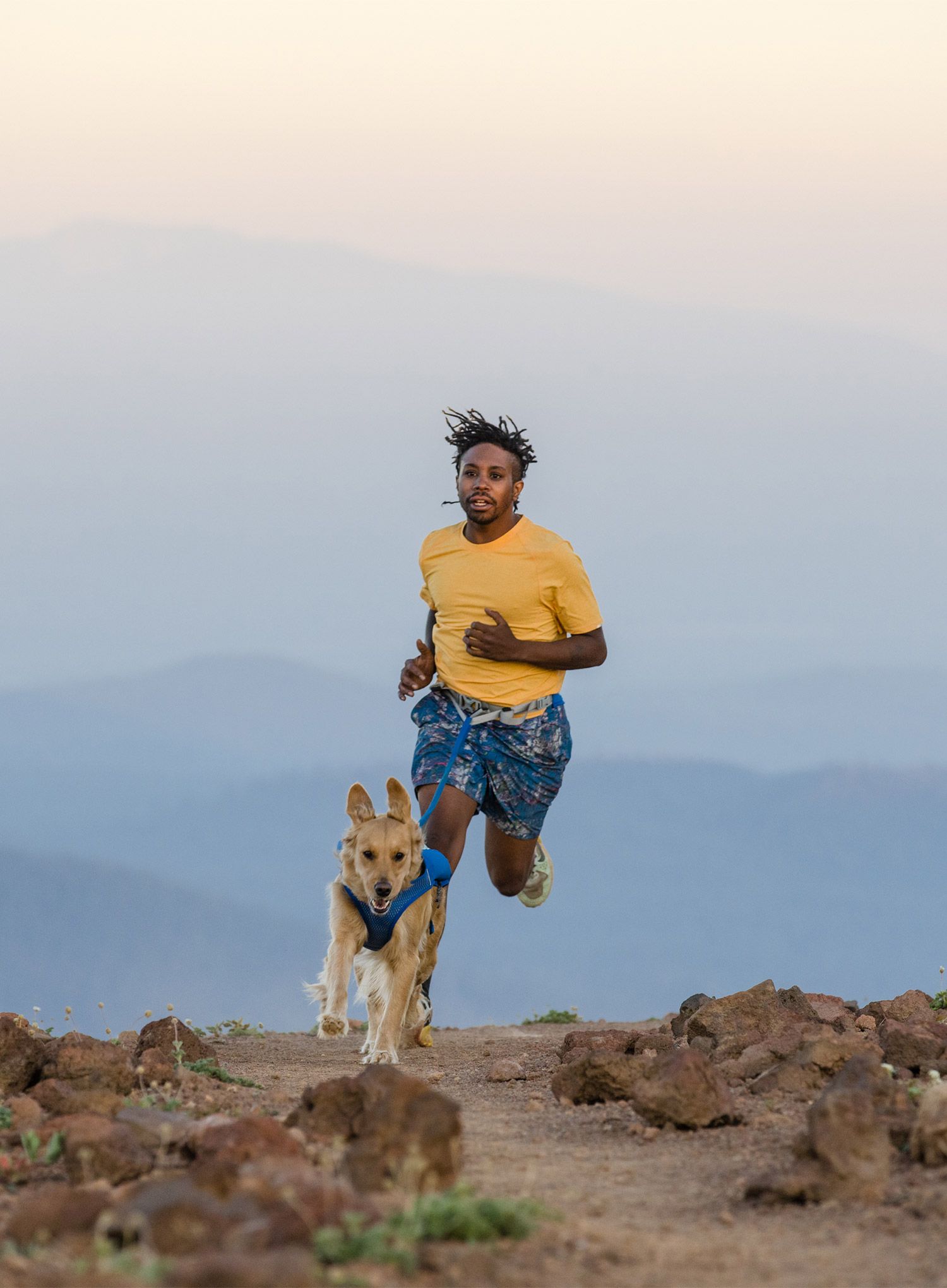 Jopič za pse Ruffwear Trail Runner Running Vest - blue pool