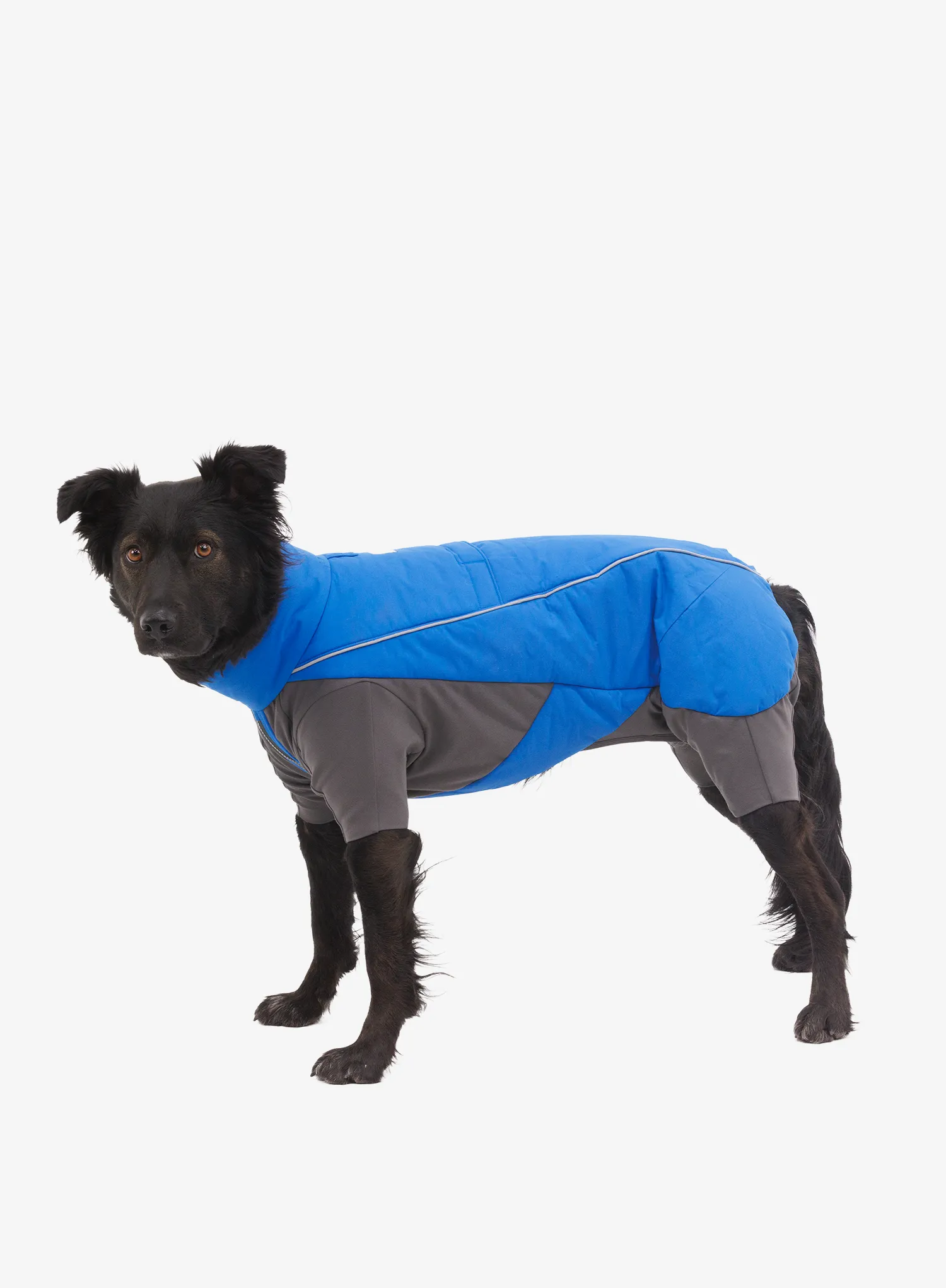 Obleka za psa Ruffwear Vert Coverall - blue pool