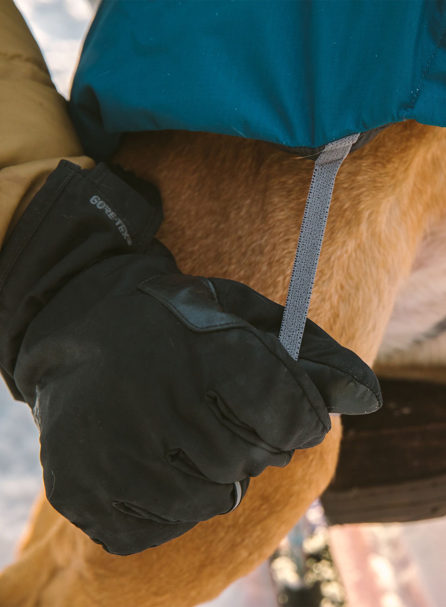 Plašč za psa Ruffwear Vert Jacket - aurora teal