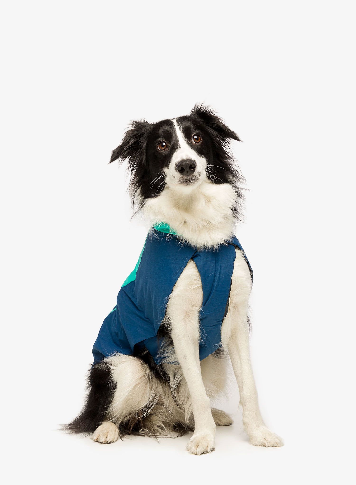Plašč za psa Ruffwear Vert Jacket - aurora teal