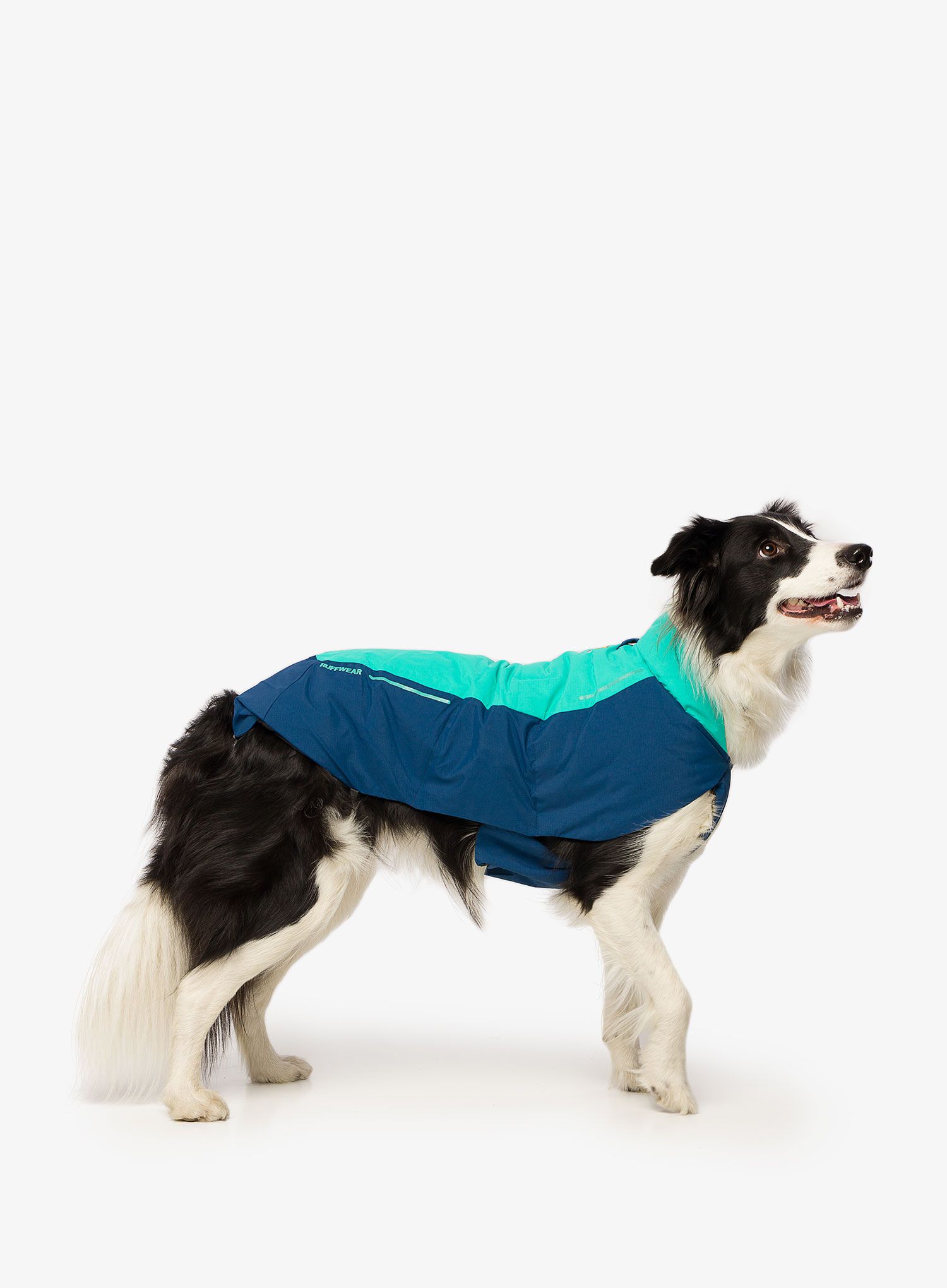 Plašč za psa Ruffwear Vert Jacket - aurora teal