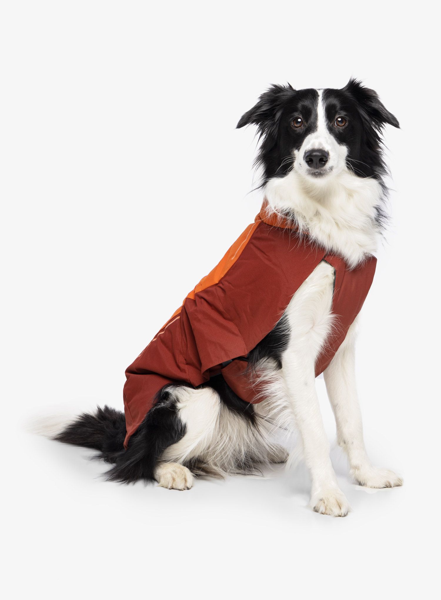 Plašč za psa Ruffwear Vert Jacket - canyonlands orange