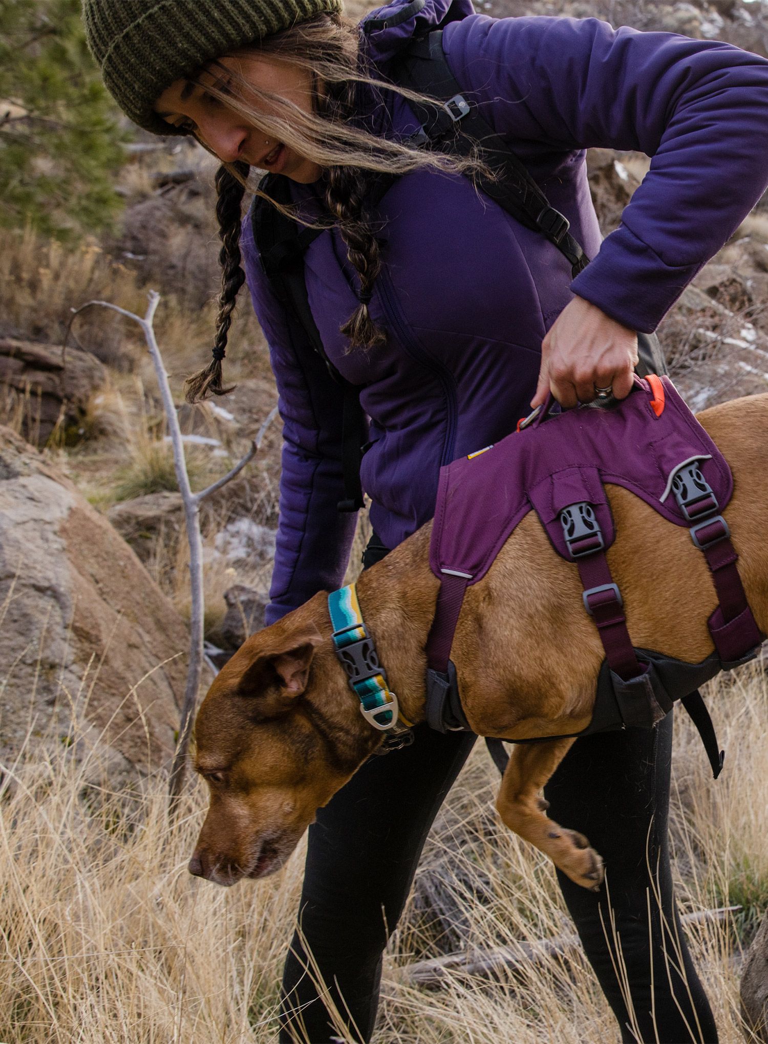 Pasja oprsnica Ruffwear Web Master Harness - purple rain