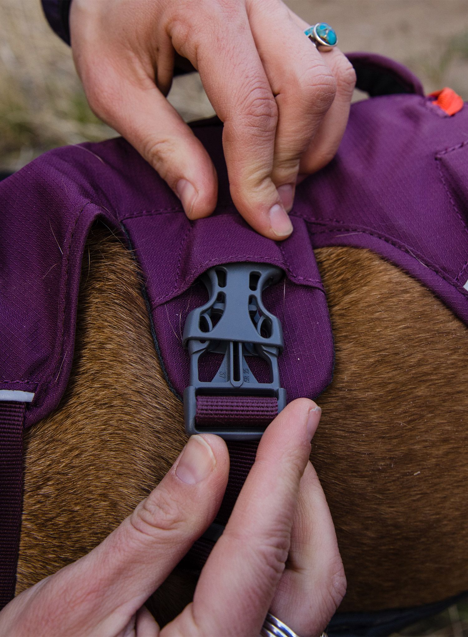 Pasja oprsnica Ruffwear Web Master Harness - purple rain