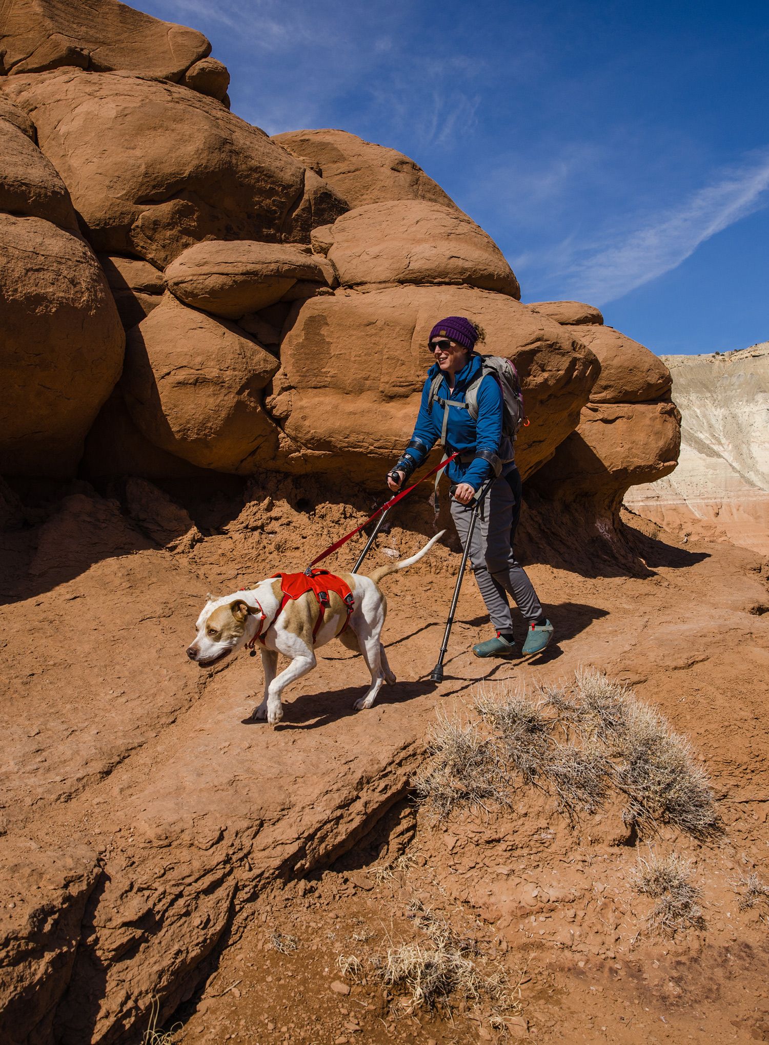 Pasja oprsnica Ruffwear Web Master Harness - red sumac