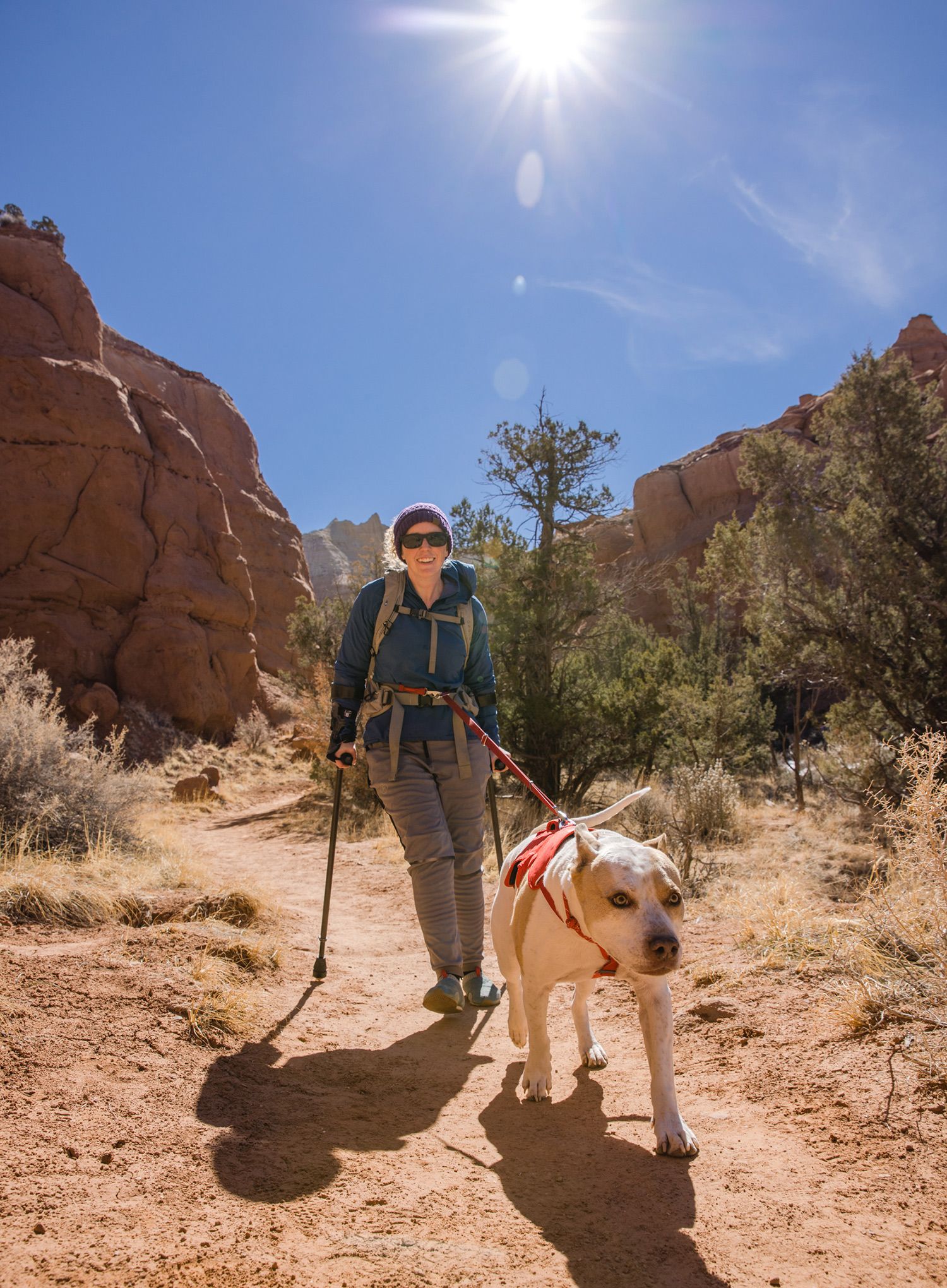Pasja oprsnica Ruffwear Web Master Harness - red sumac