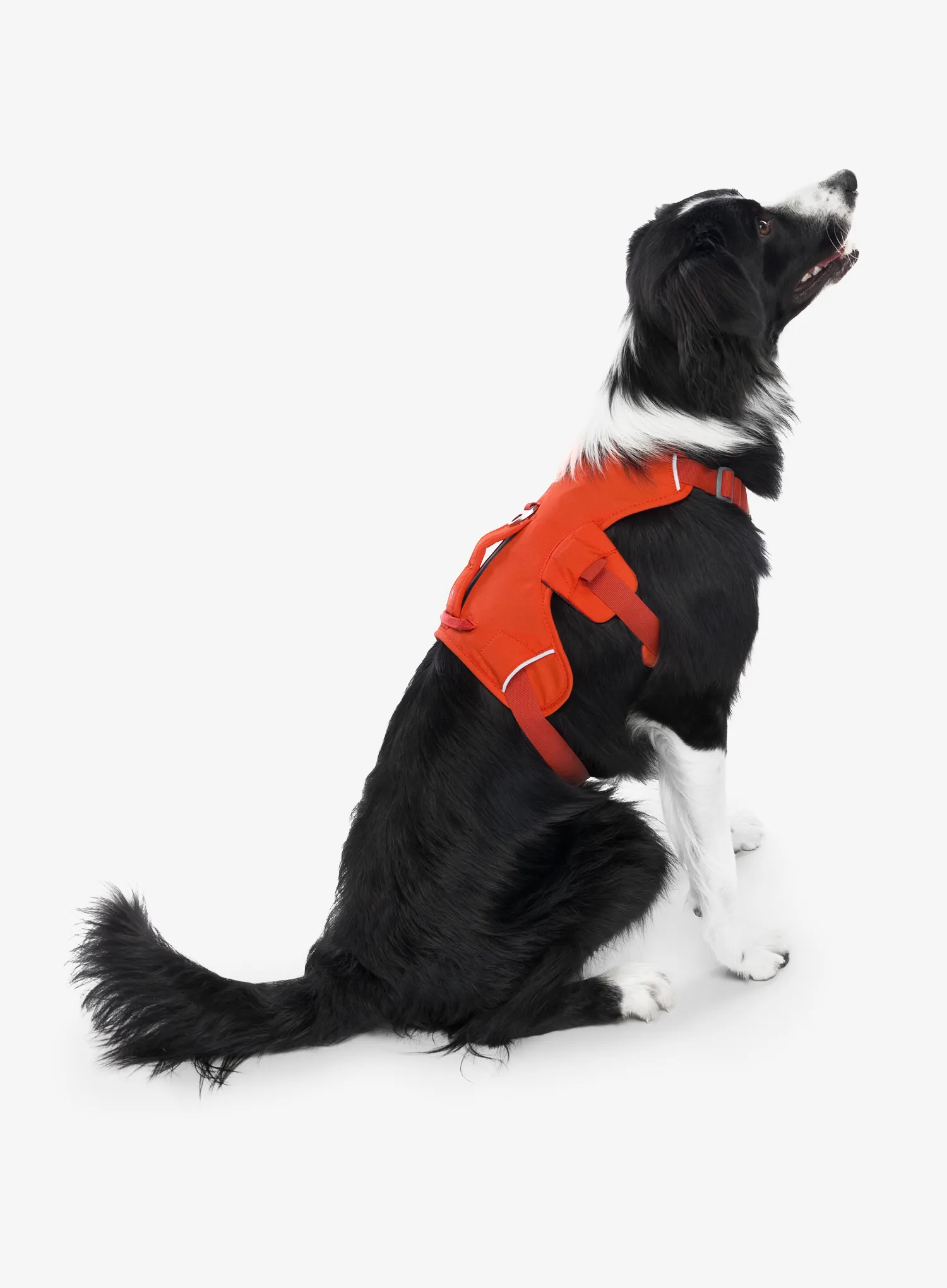 Pasja oprsnica Ruffwear Web Master Harness - red sumac