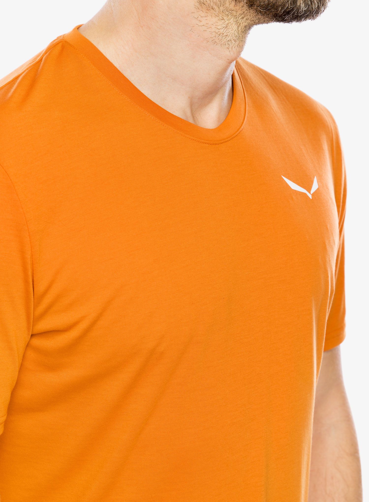 Majica s kratkimi rokavi Salewa Eagle Sheep Camp Dry T-Shirt - burnt orange