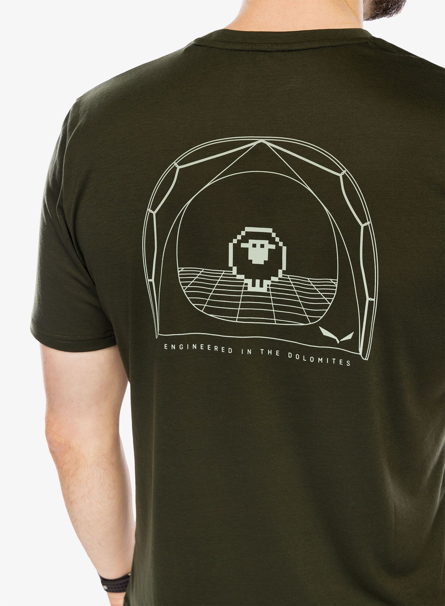 Športna majica Salewa Eagle Sheep Camp Dry T-Shirt - dark olive