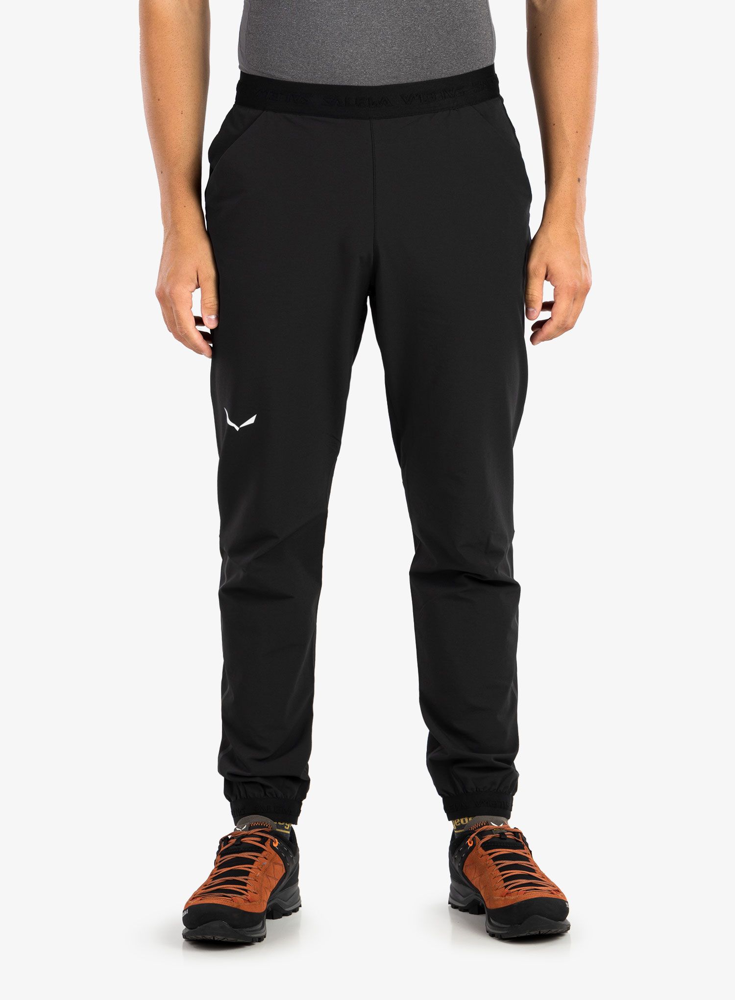 Pohodniške hlače Salewa Pedroc DST WO Pants - black out