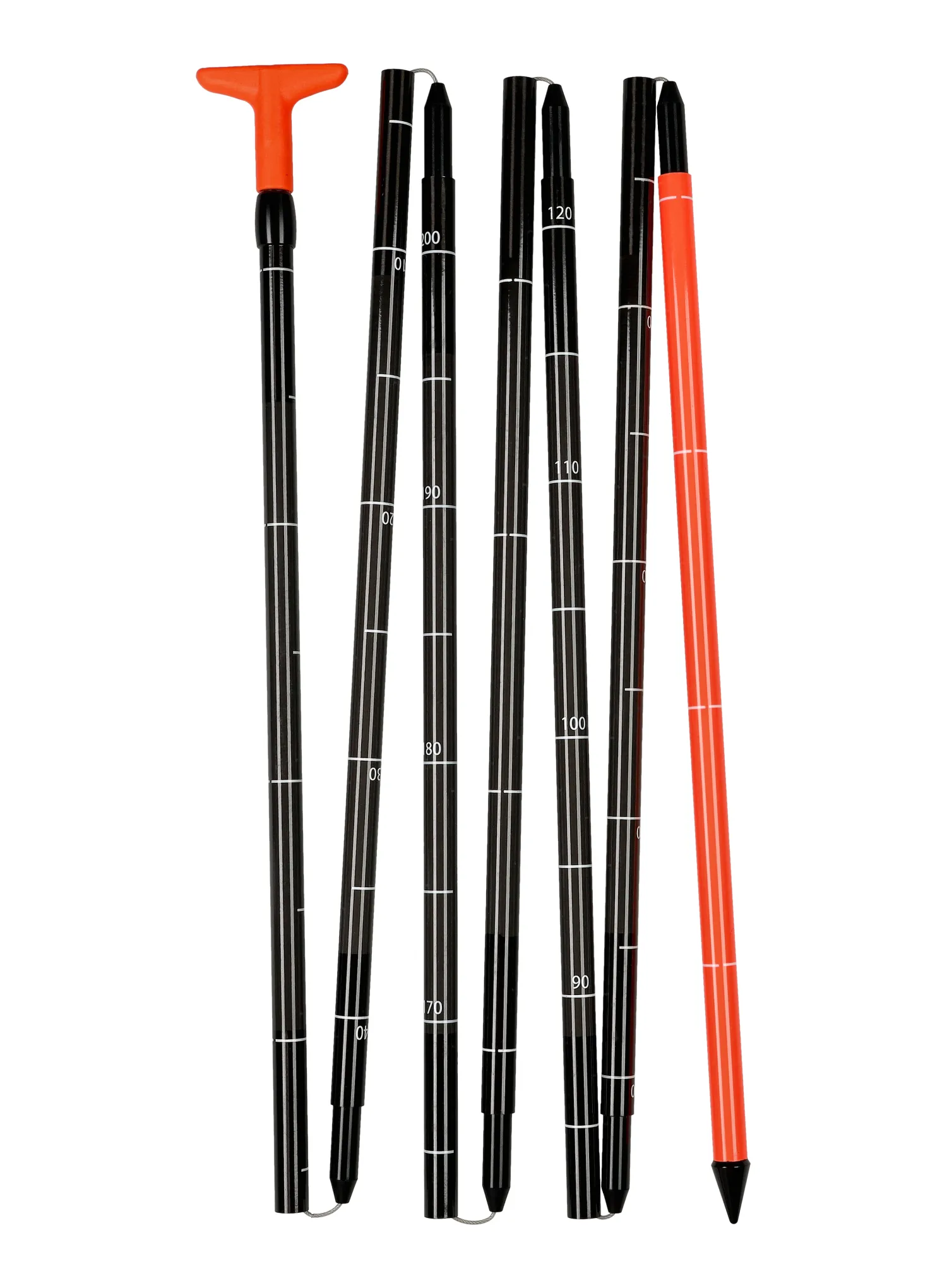 Lavinska sonda Salewa Sella Carbon 320 Probe - black