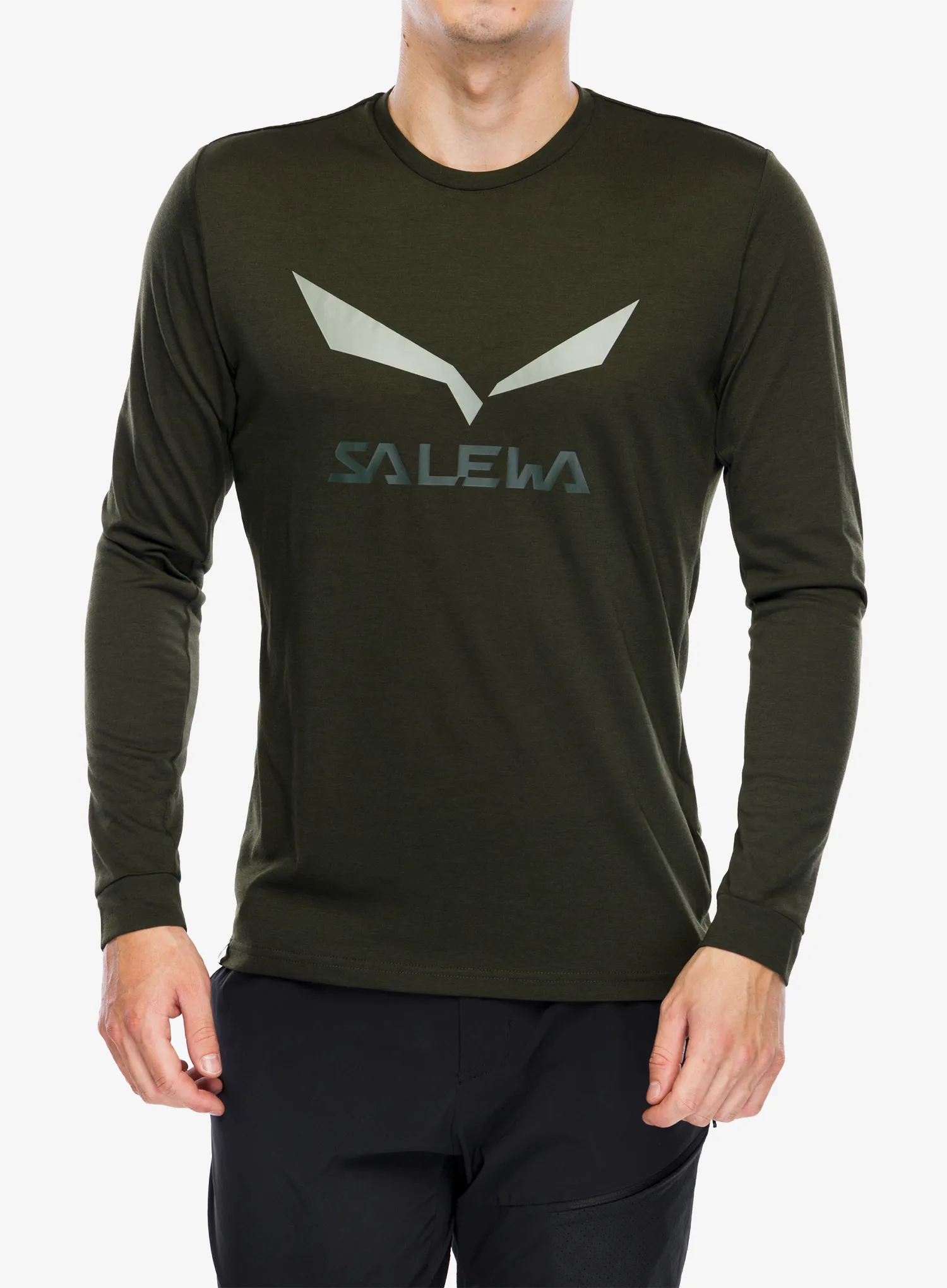 Puloverji brez kapuce Salewa Solidlogo Dry L/S Te - dark olive