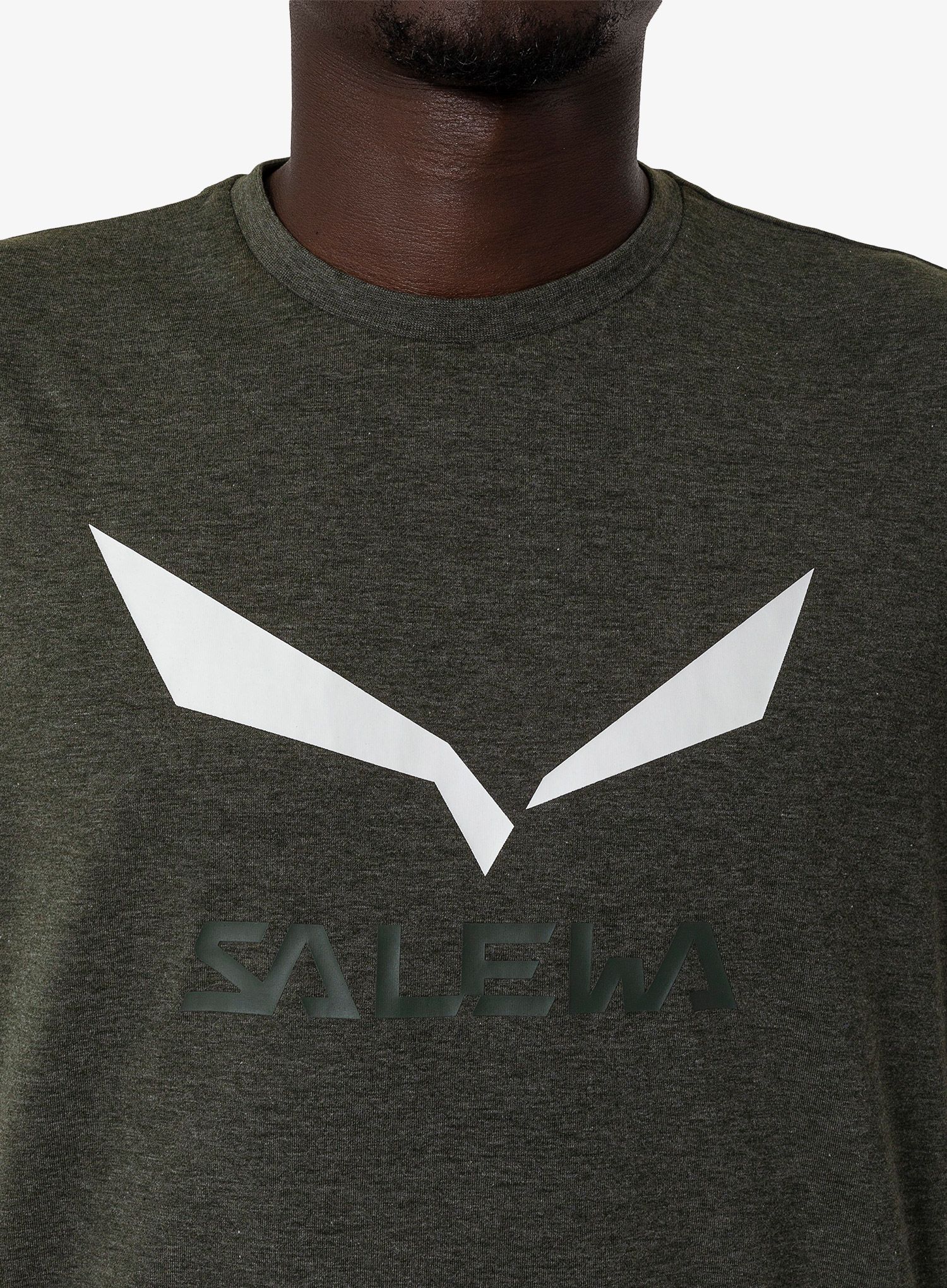 Športna majica Salewa Solidlogo Dry T-shirt - dark olive