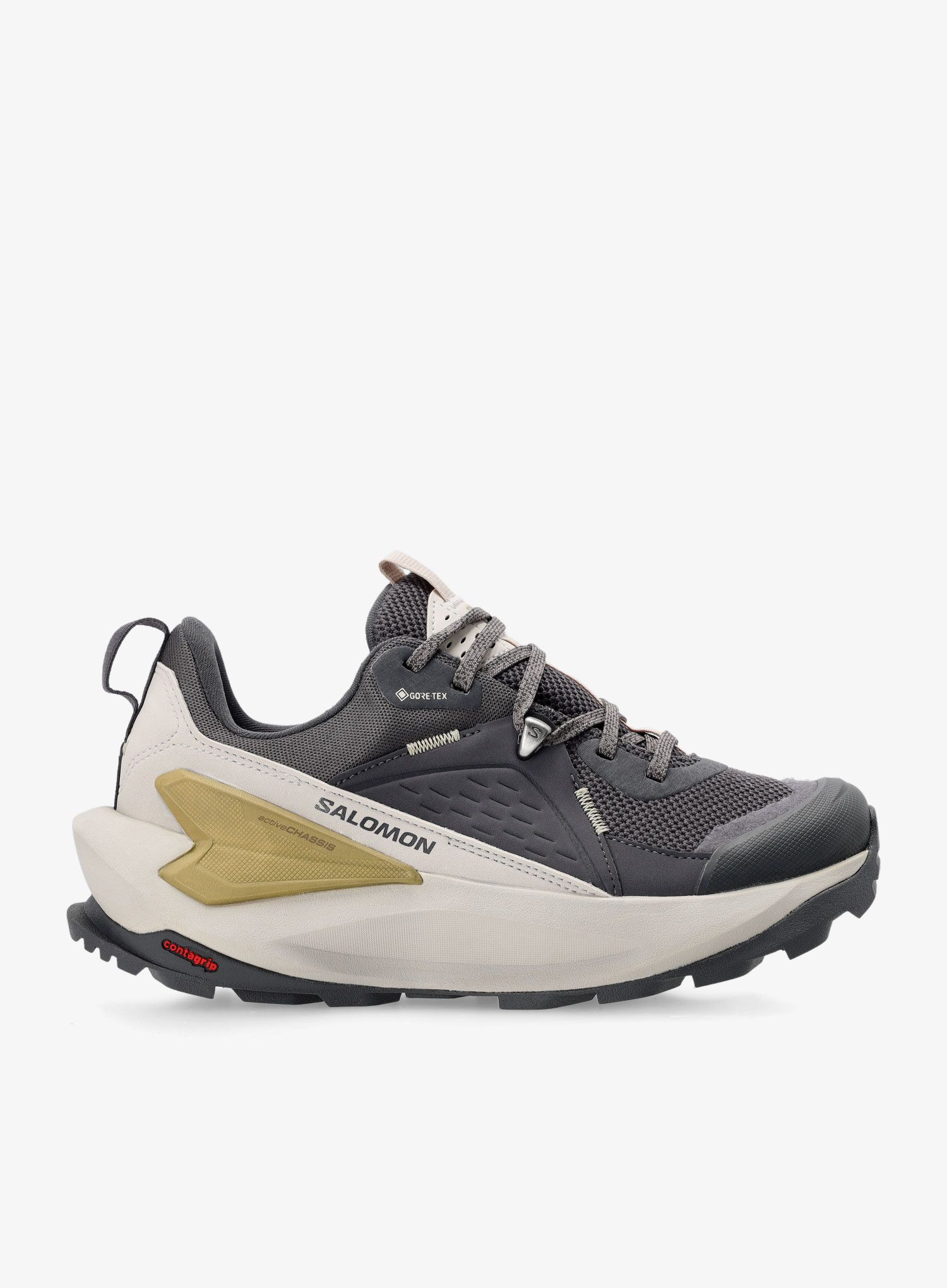 Ženski pohodniški čevlji Salomon Elixir GTX - iron/silver/sponge