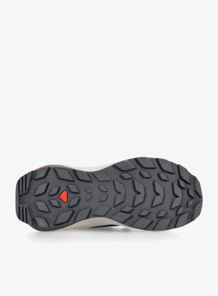 Ženski pohodniški čevlji Salomon Elixir GTX - iron/silver/sponge