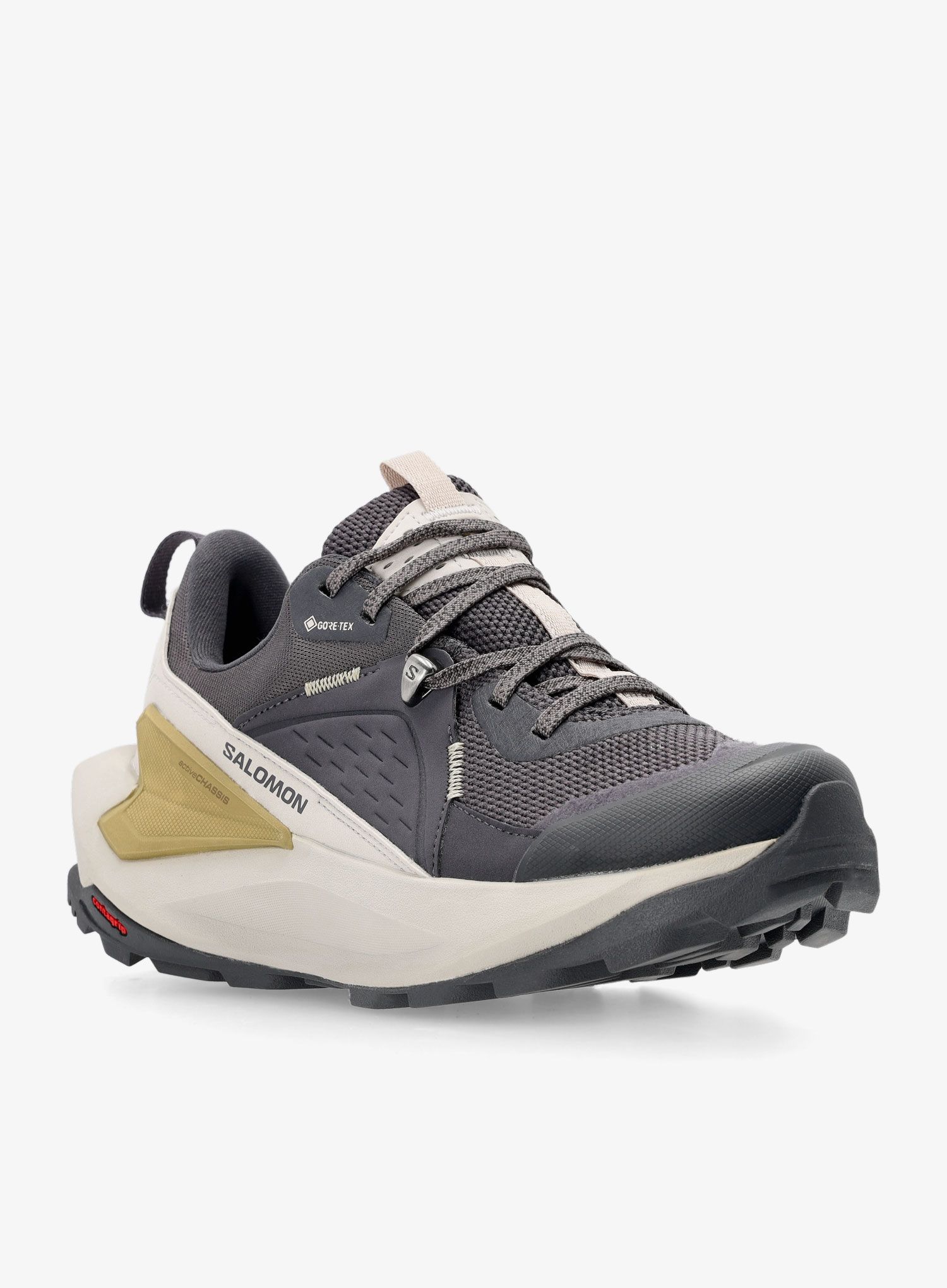 Ženski pohodniški čevlji Salomon Elixir GTX - iron/silver/sponge