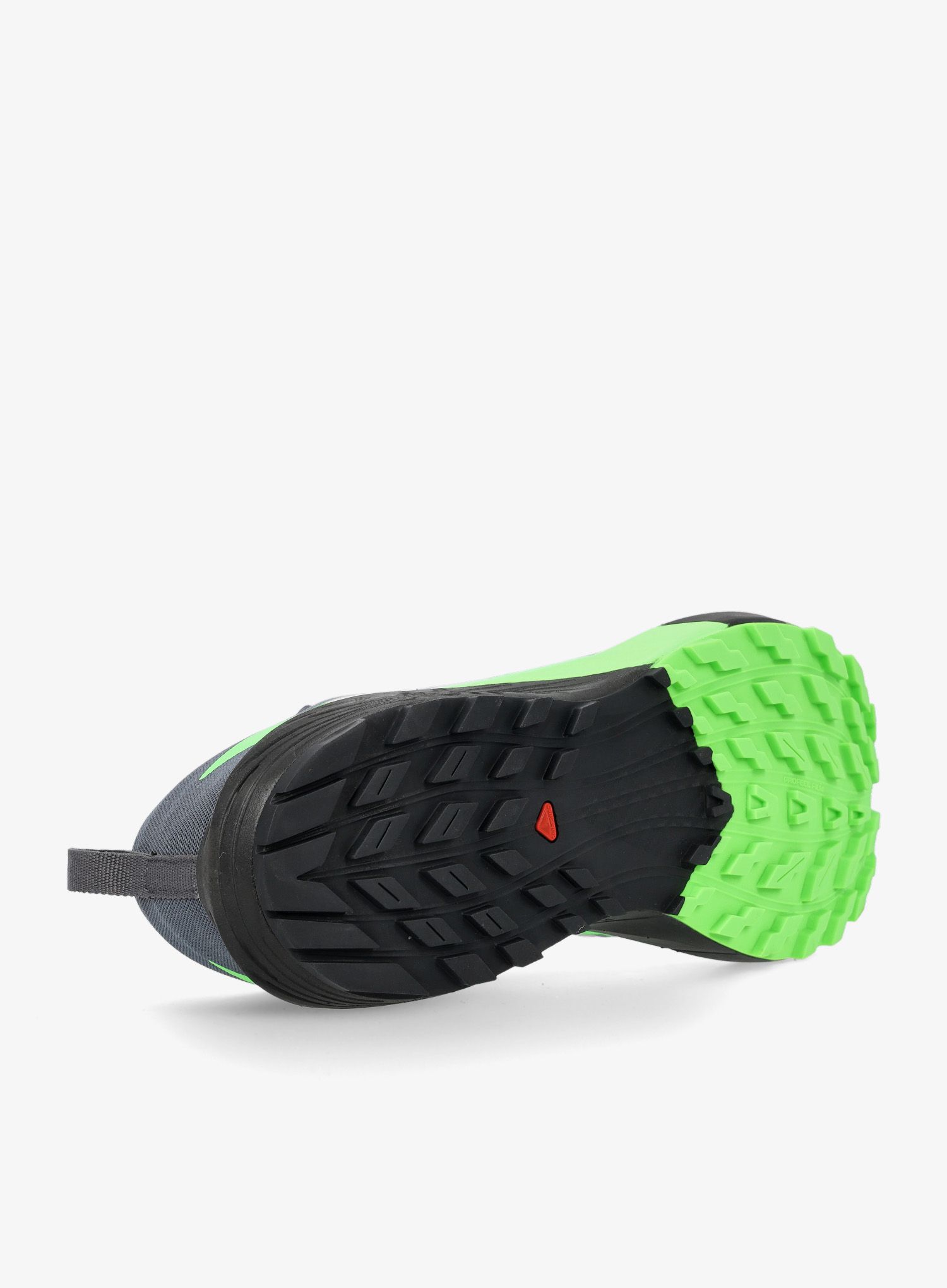 Trail tekaški čevlji Salomon Sense Ride 5 GTX - flint/black/green