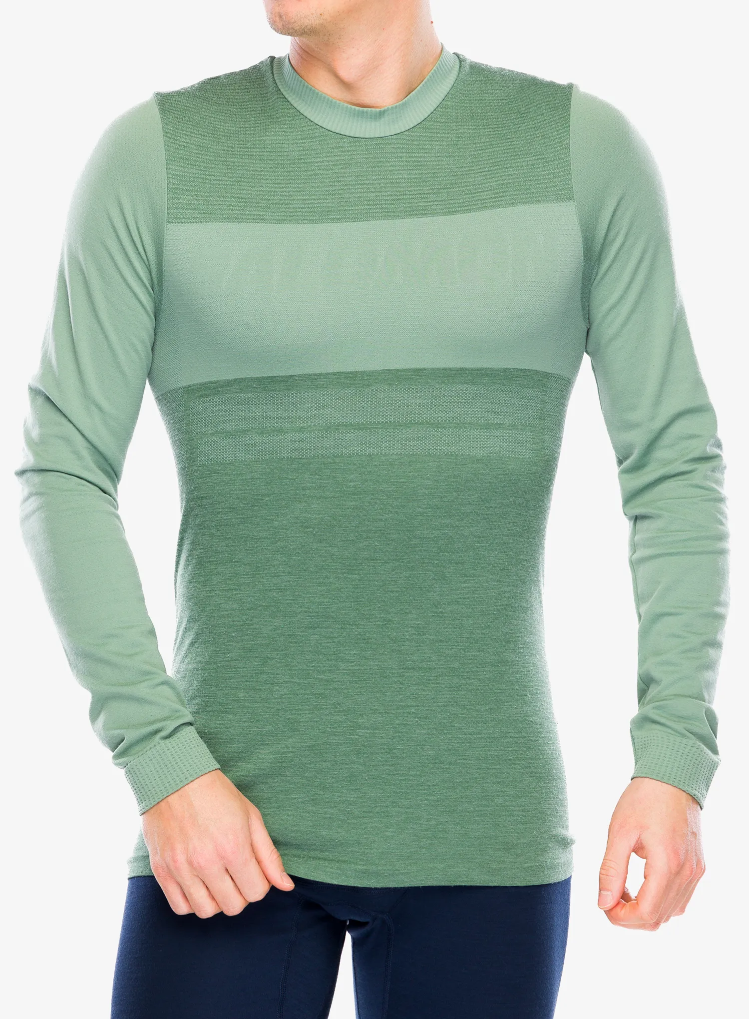 Termo flis jopa Salomon Essential Wool LS Top - laurel wreath
