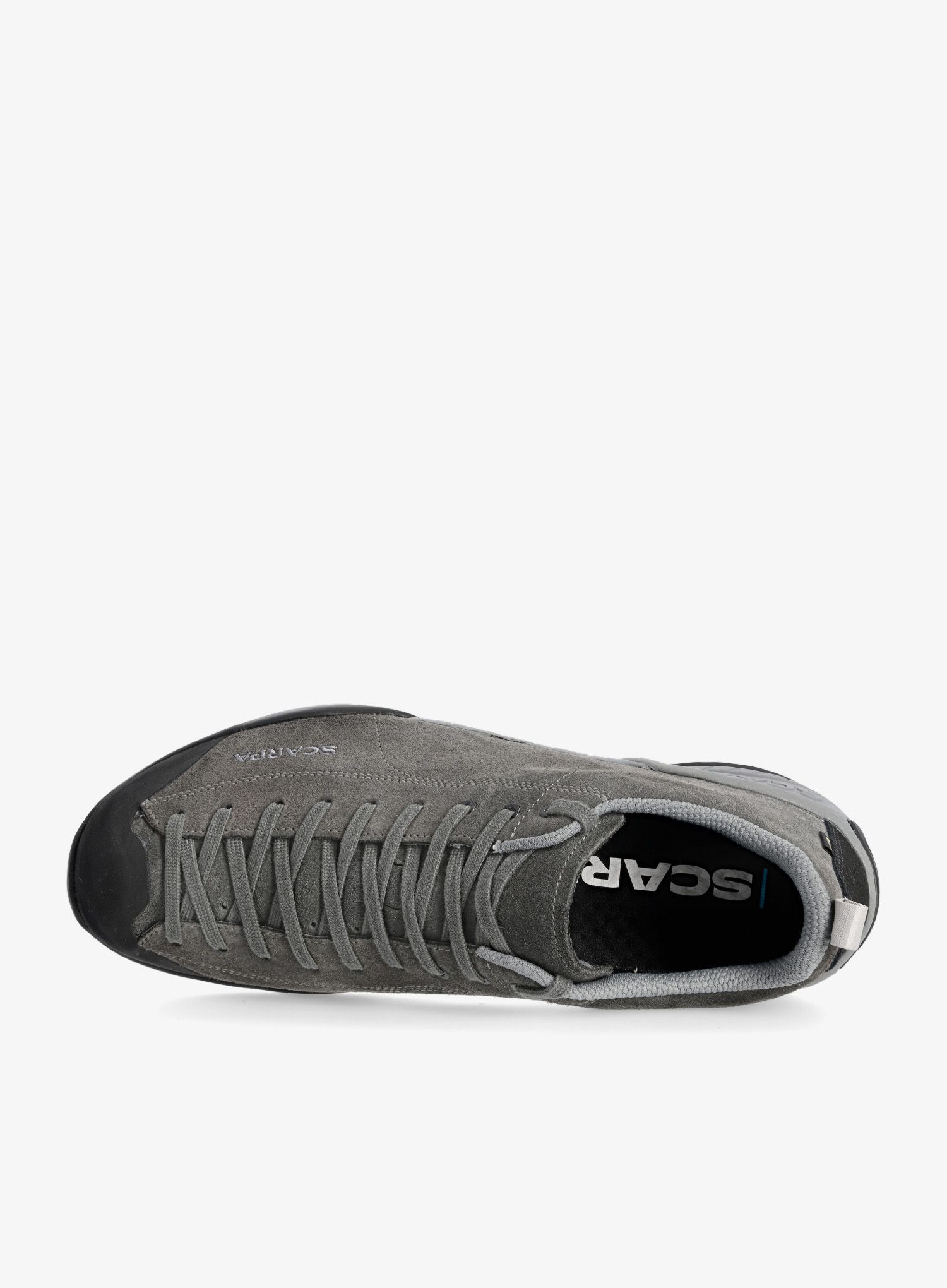 Moški čevlji Scarpa Mojito GTX - shark