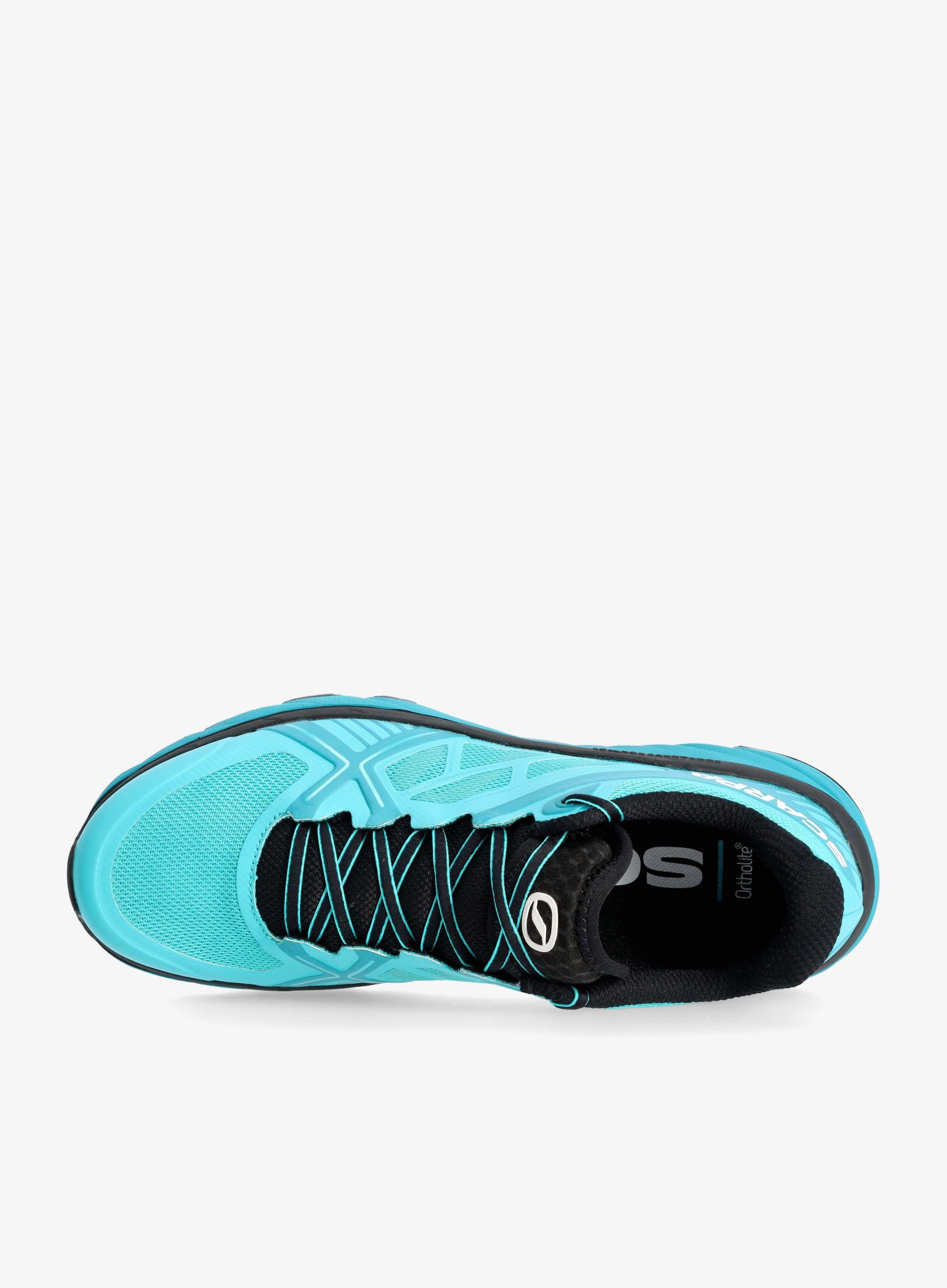 Moški tekaški čevlji Scarpa Spin Infinity - azure