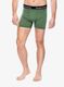 Boksarice Smartwool Merino Boxer Brief Boxed - fern green