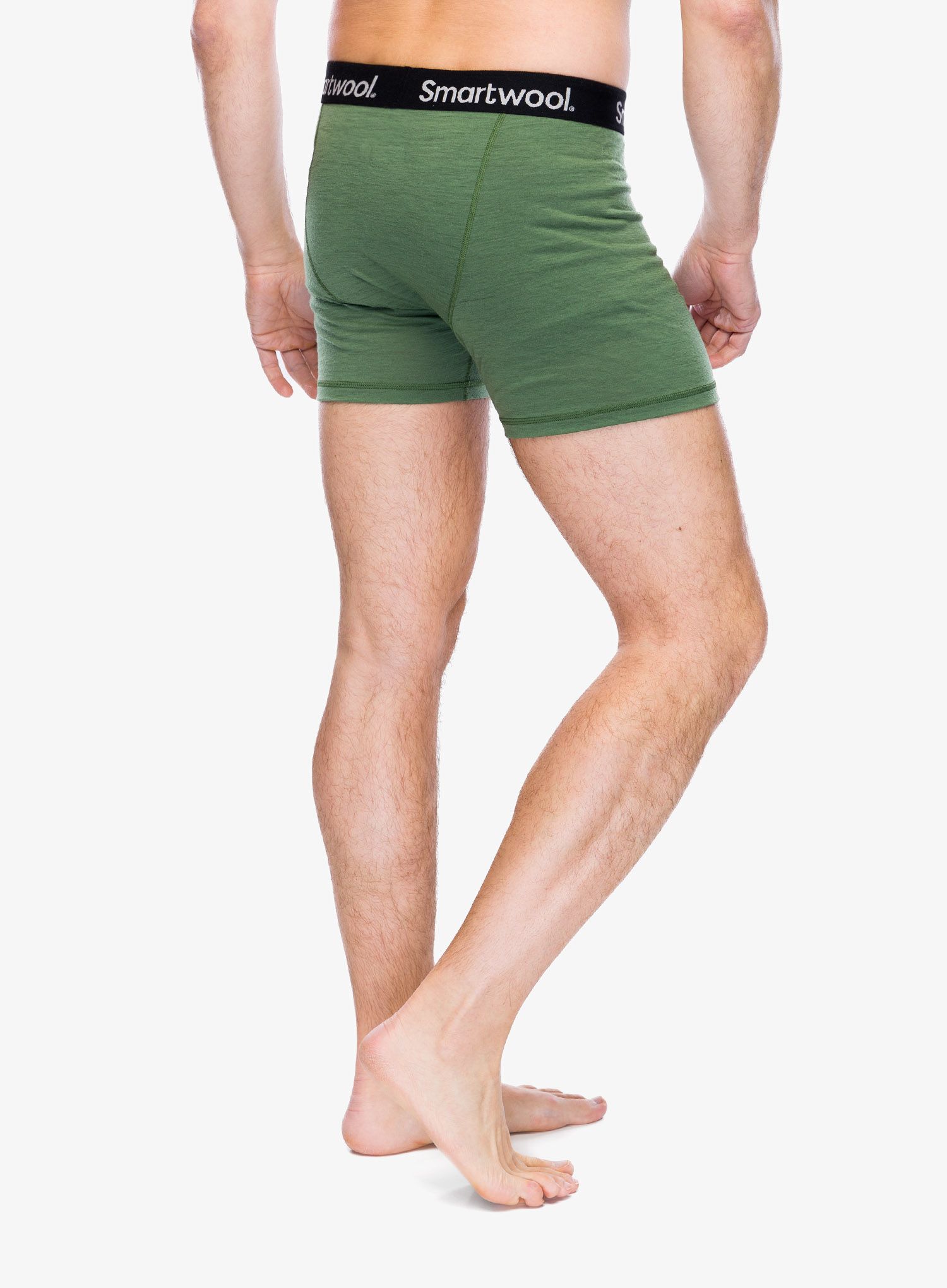 Boksarice Smartwool Merino Boxer Brief Boxed - fern green