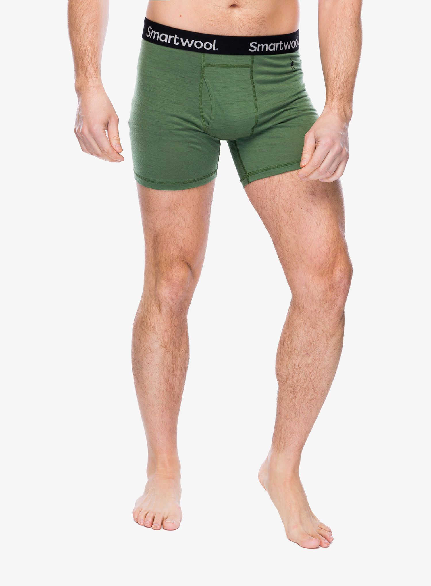 Boksarice Smartwool Merino Boxer Brief Boxed - fern green
