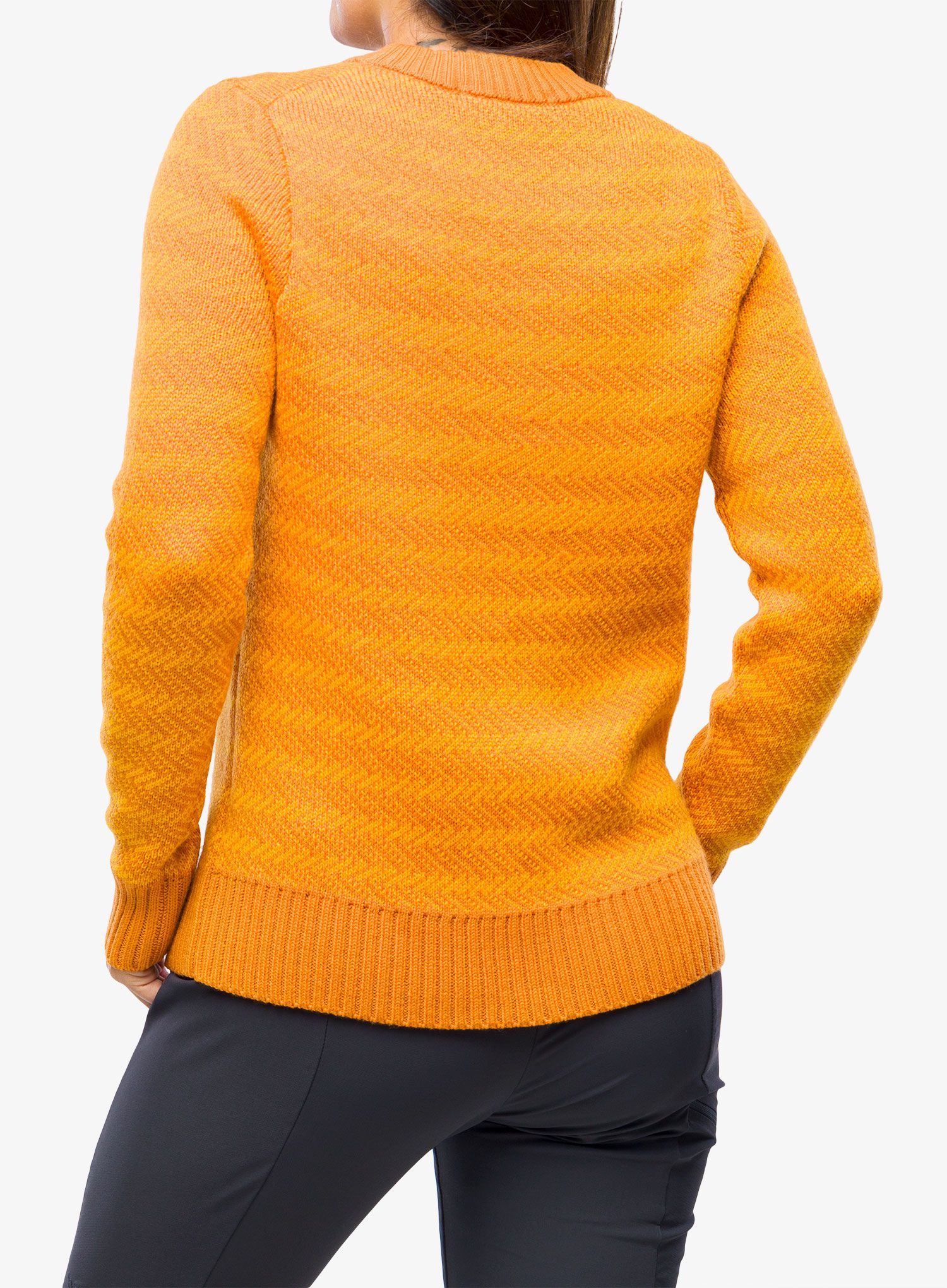 Ženski pulover Icebreaker Waypoint Crewe Sweater - earth/solar