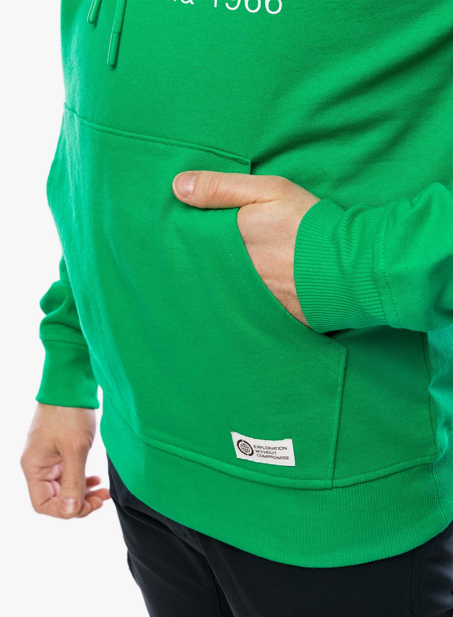 Jopica s kapuco The North Face Berkeley California Hoodie - optic emerald