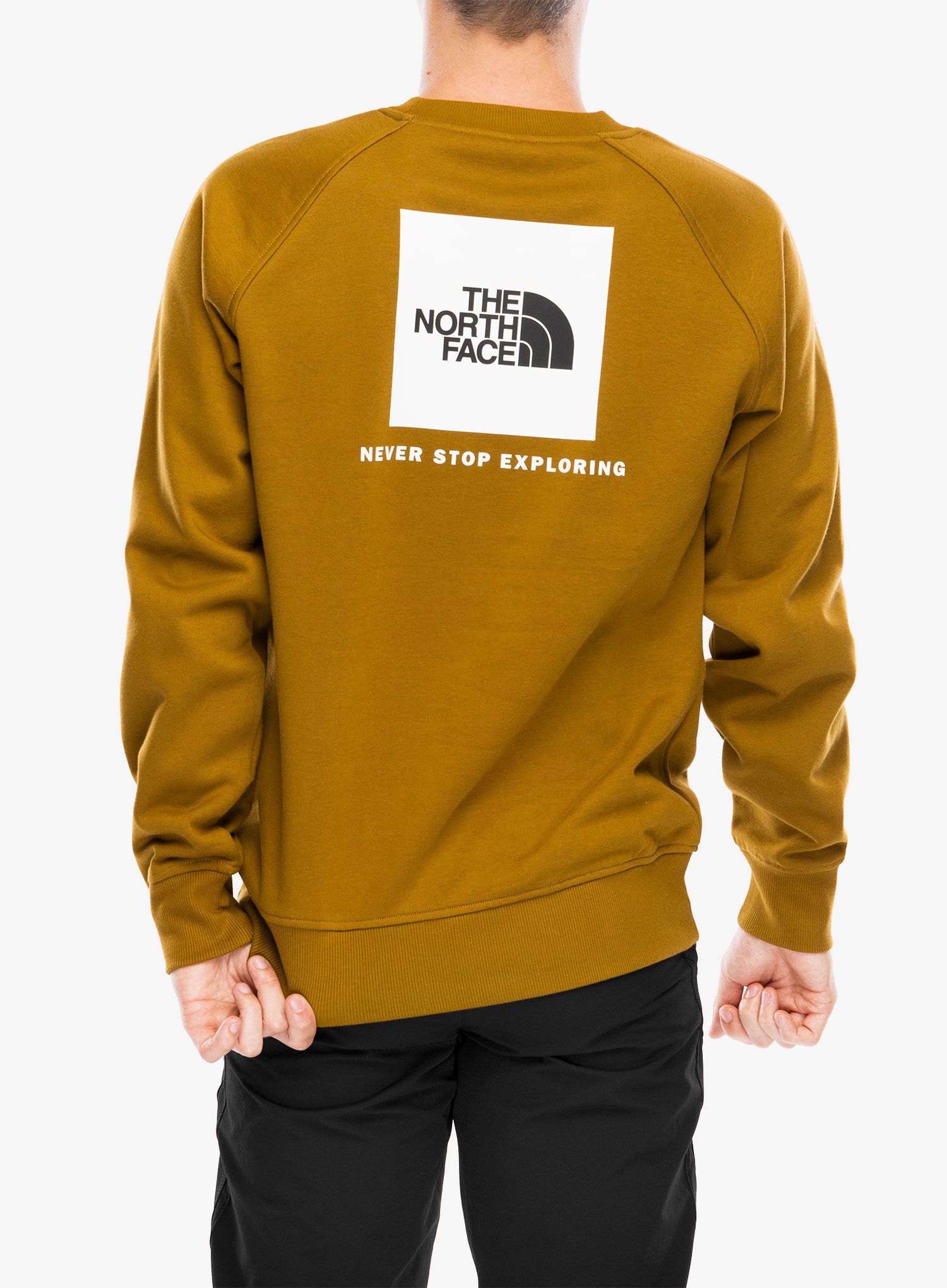 Puloverji brez kapuce The North Face Raglan Redbox Crew - moss green