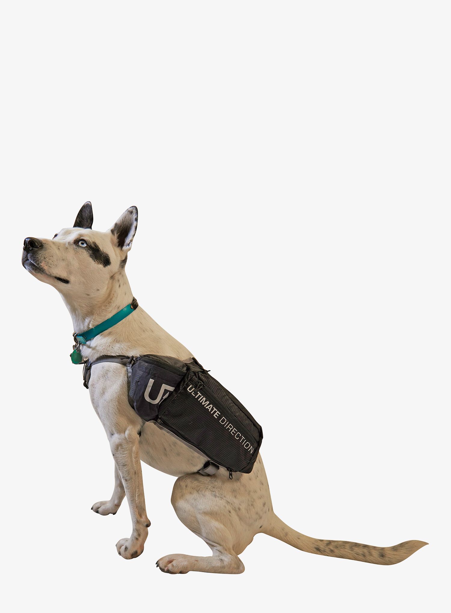 Torba za psa Ultimate Direction Dog Vest - black
