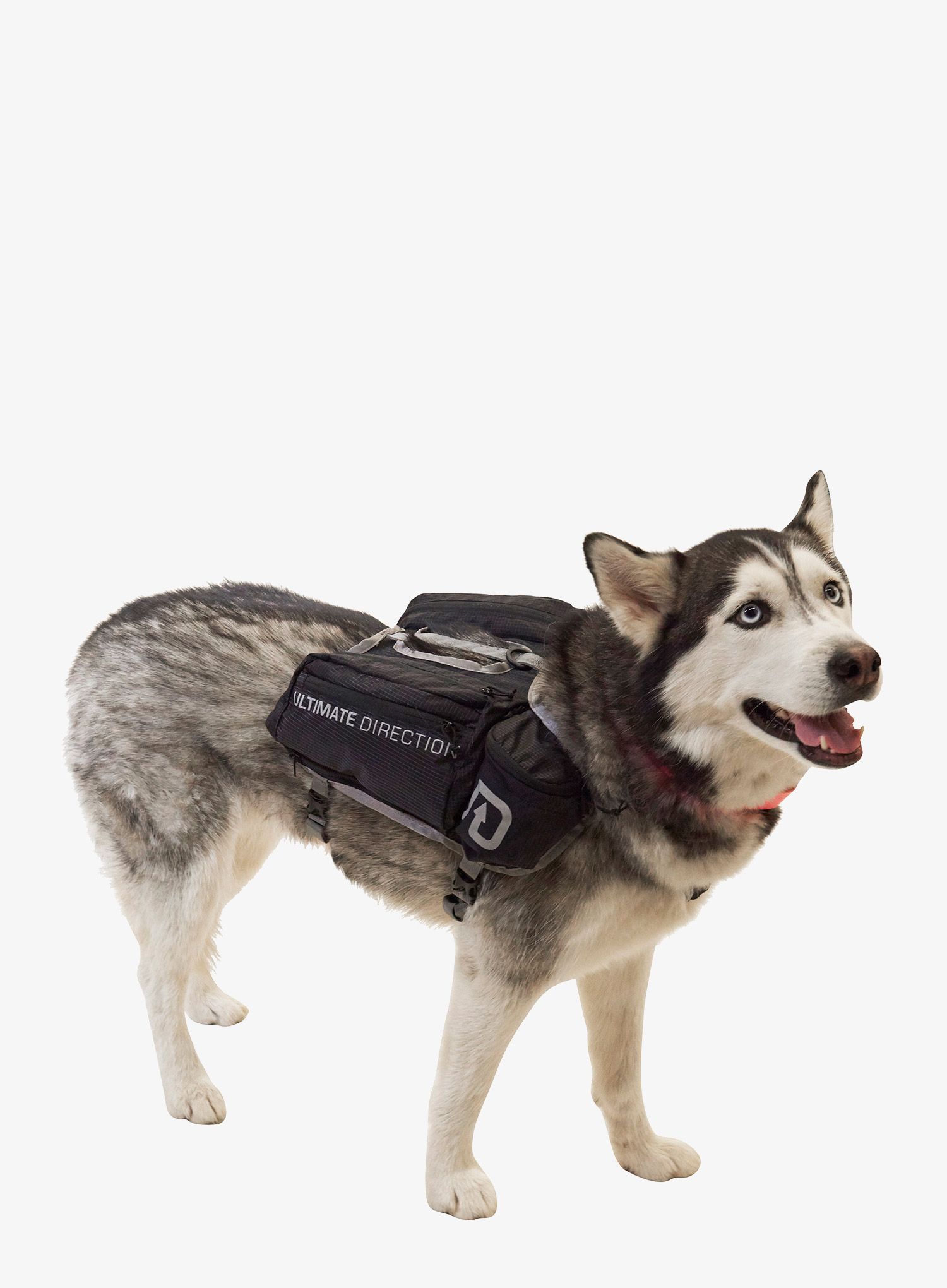 Torba za psa Ultimate Direction Dog Vest - black