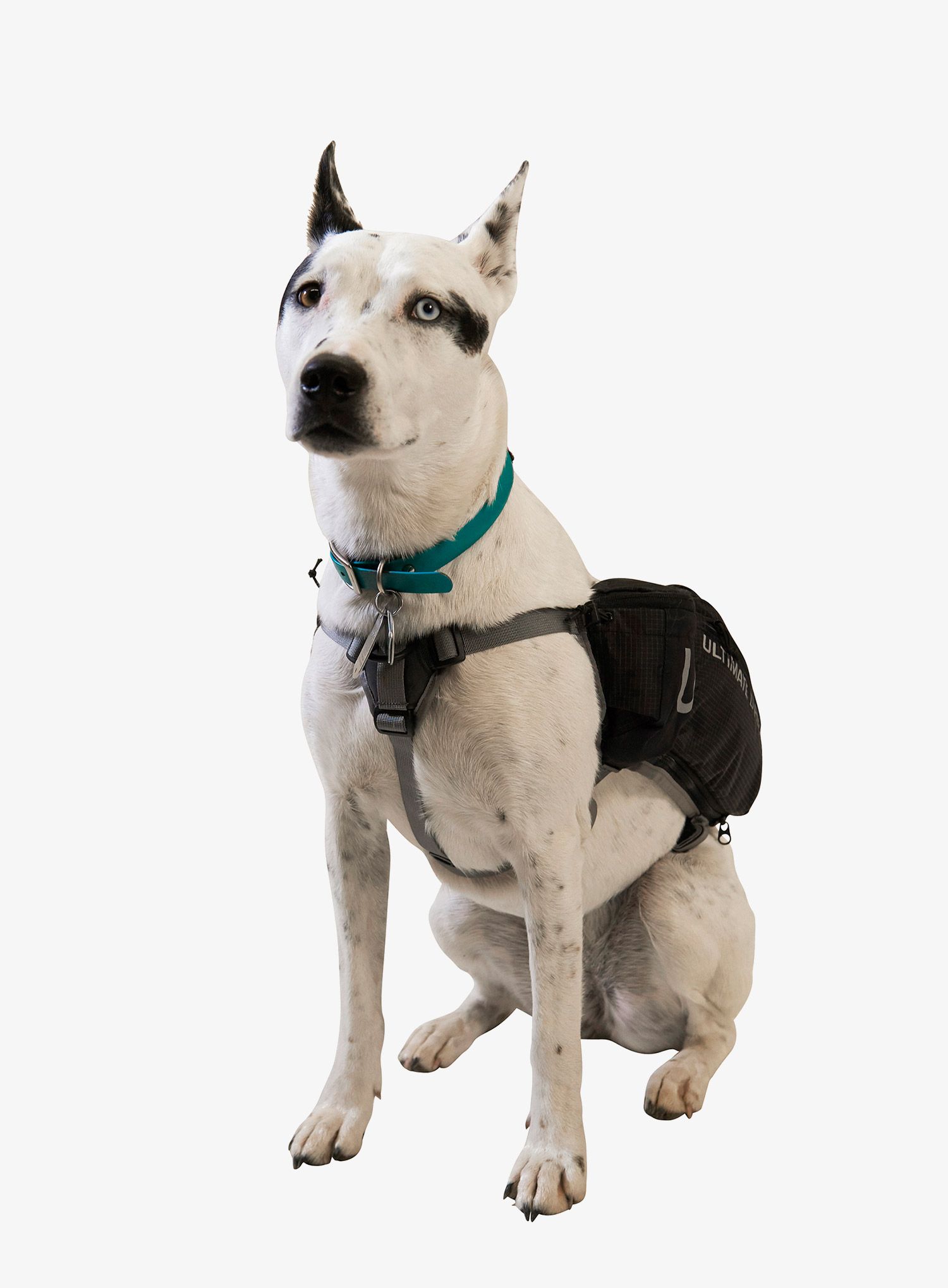 Torba za psa Ultimate Direction Dog Vest - black