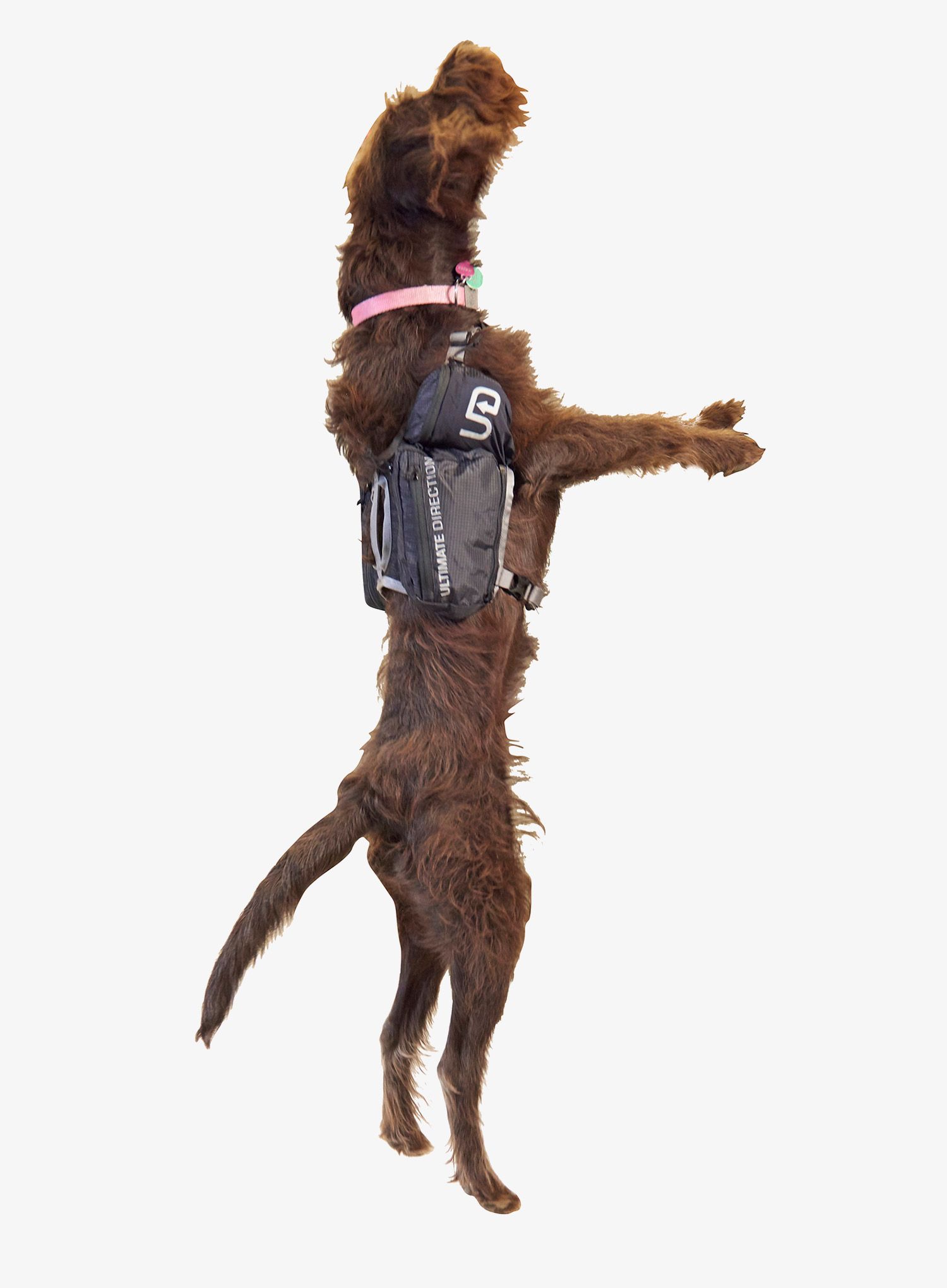 Torba za psa Ultimate Direction Dog Vest - black