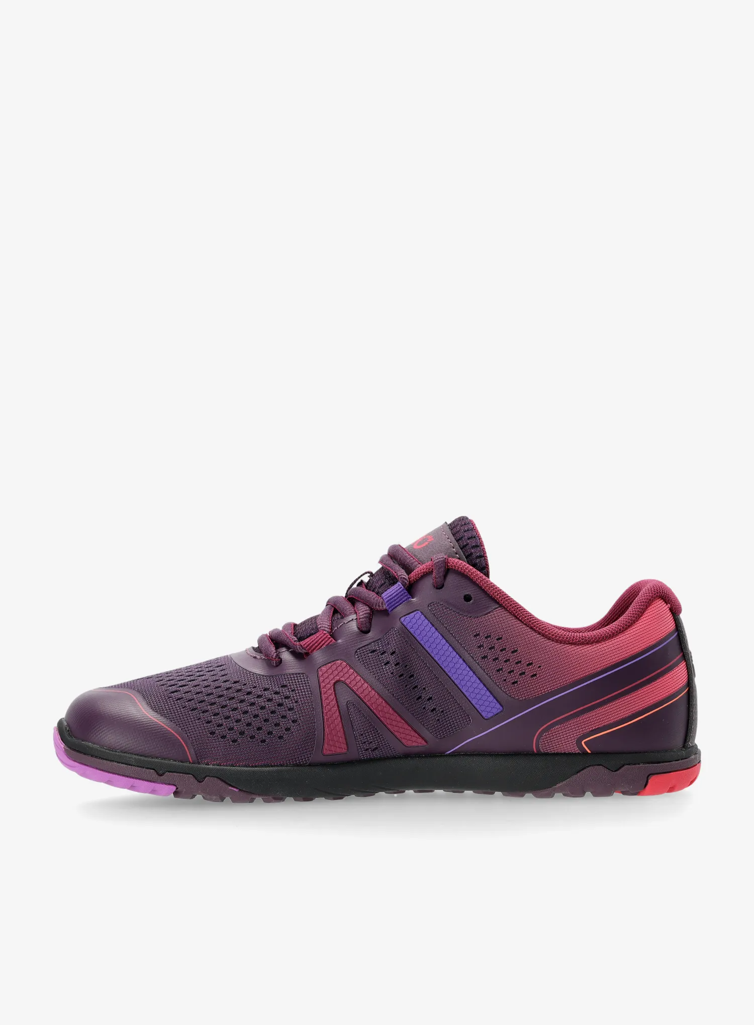 Ženski tekaški čevlji Xero Shoes HFS II - gradient purple