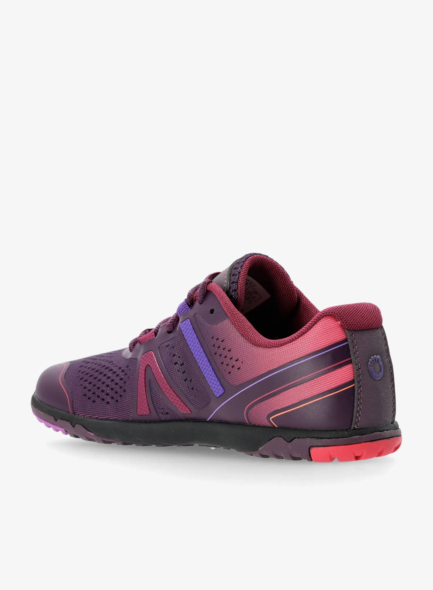 Ženski tekaški čevlji Xero Shoes HFS II - gradient purple