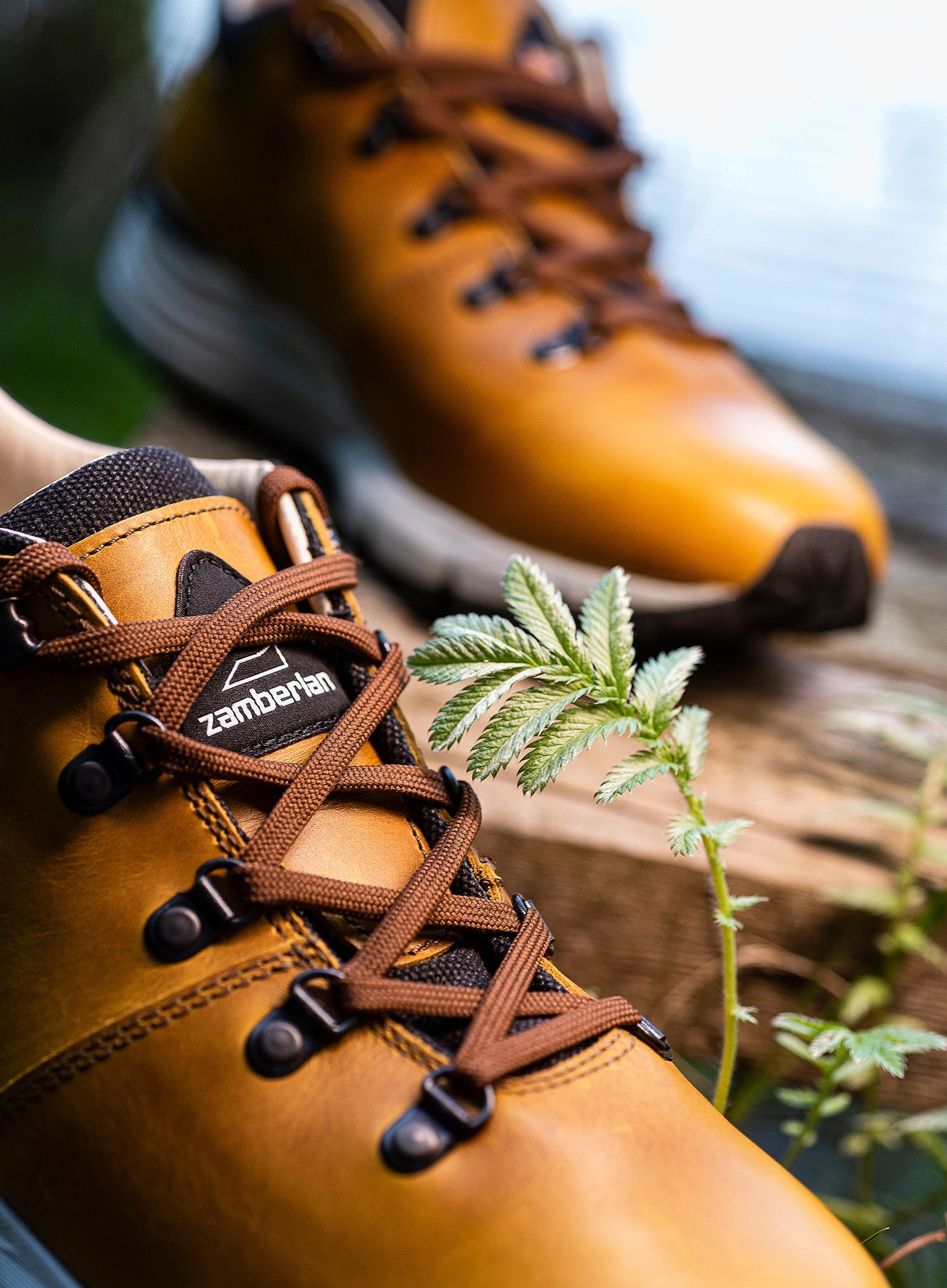Moški čevlji Zamberlan Cornell Low - mustard